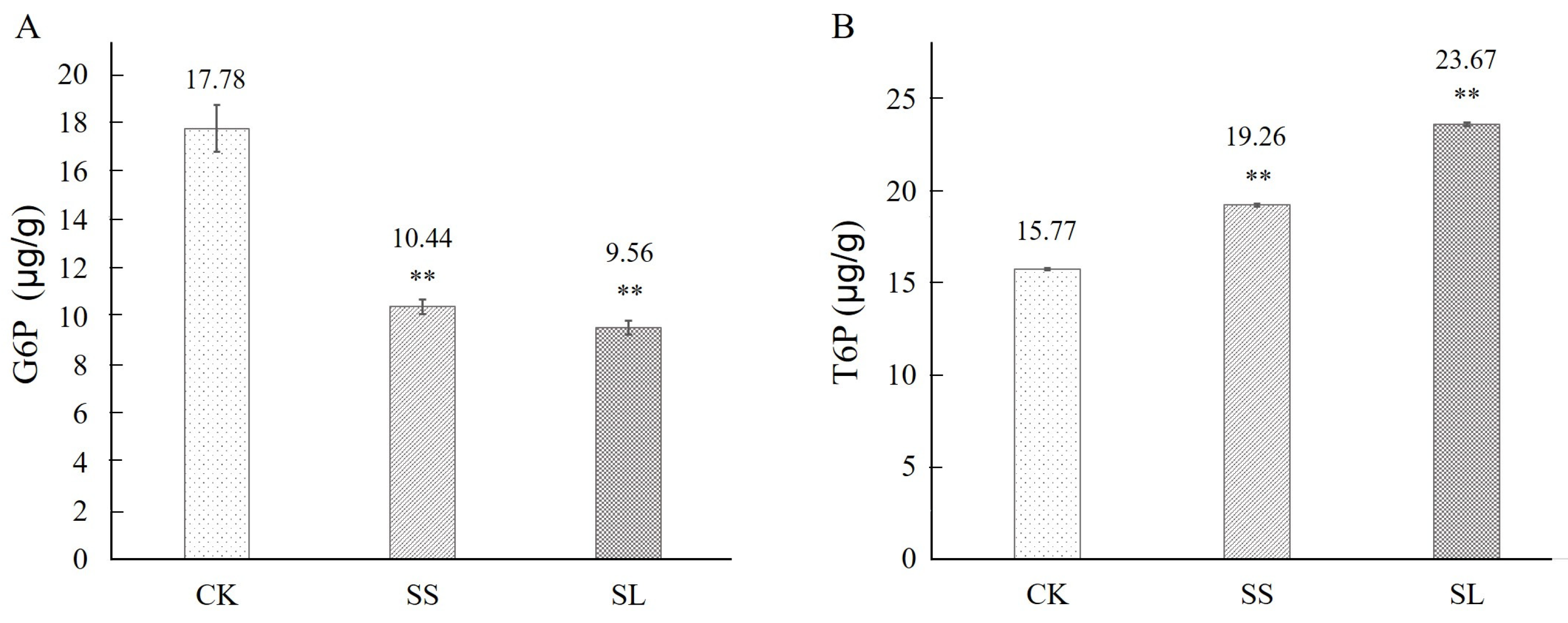 Molecules 28 05139 g005
