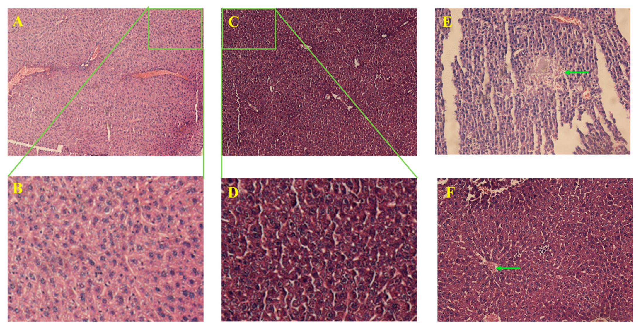 Molecules 28 05149 g003
