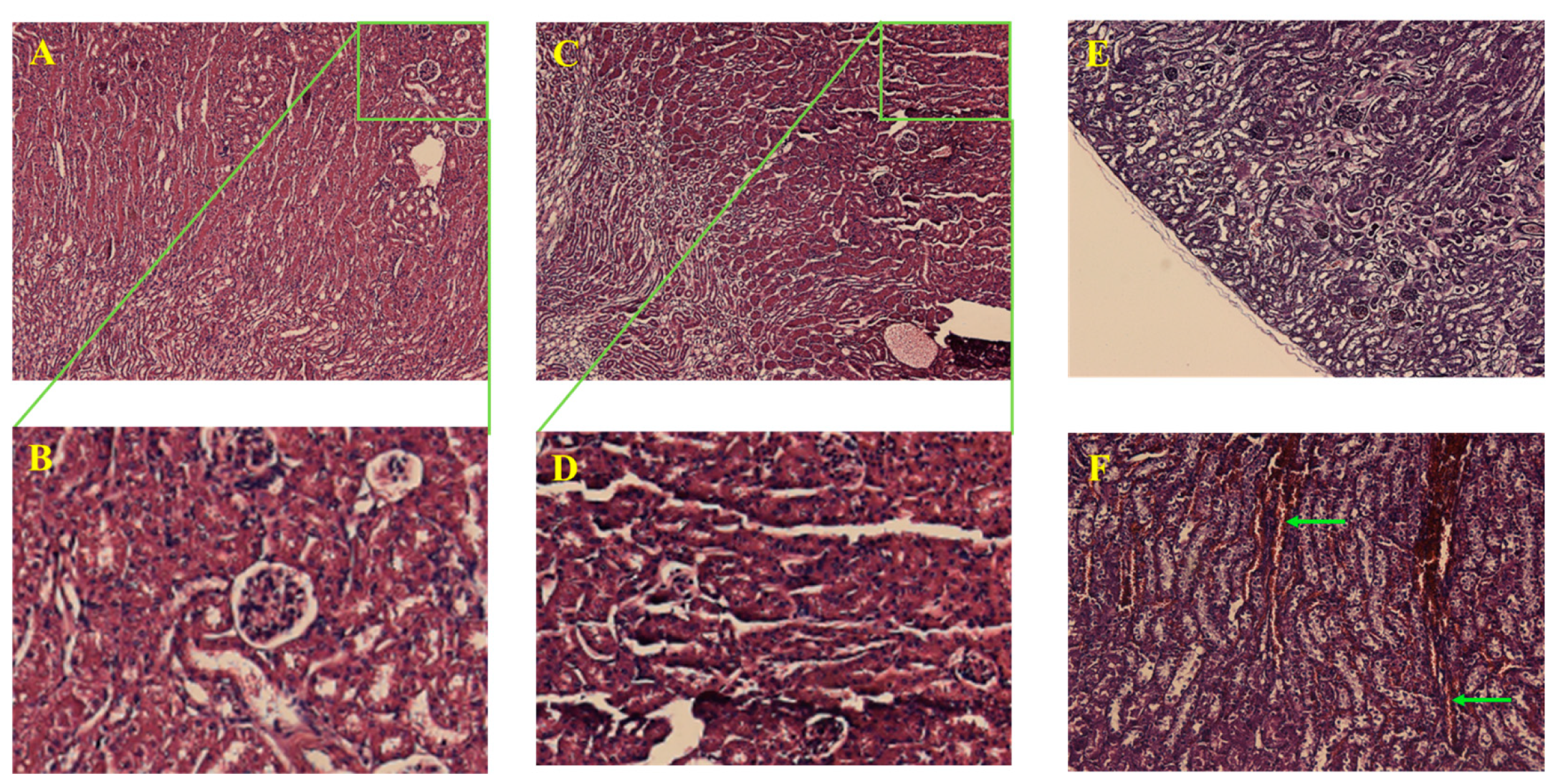 Molecules 28 05149 g004