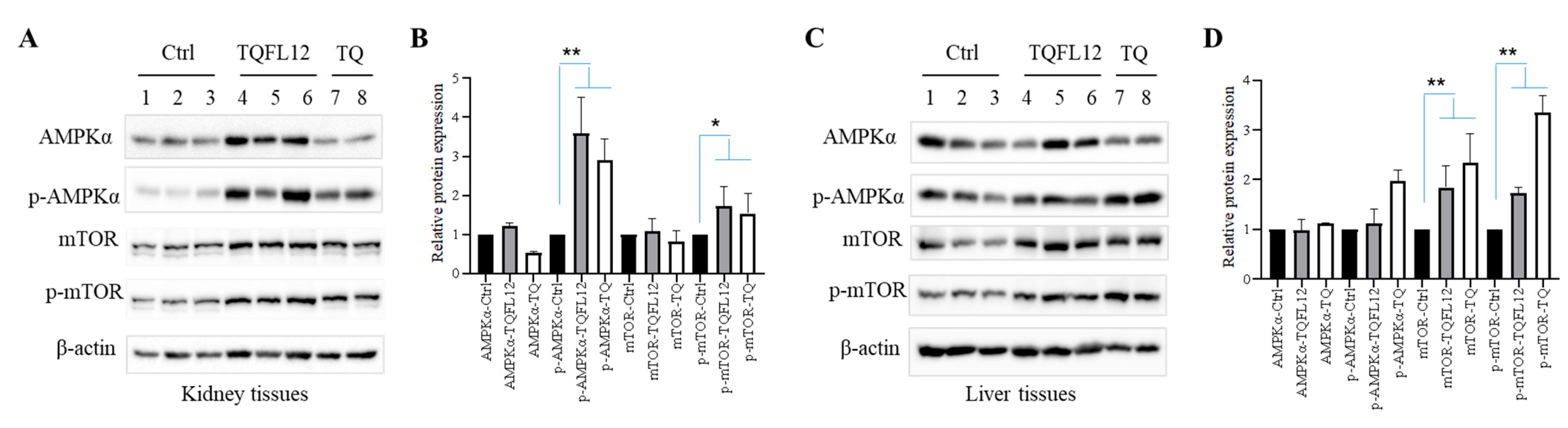 Molecules 28 05149 g005