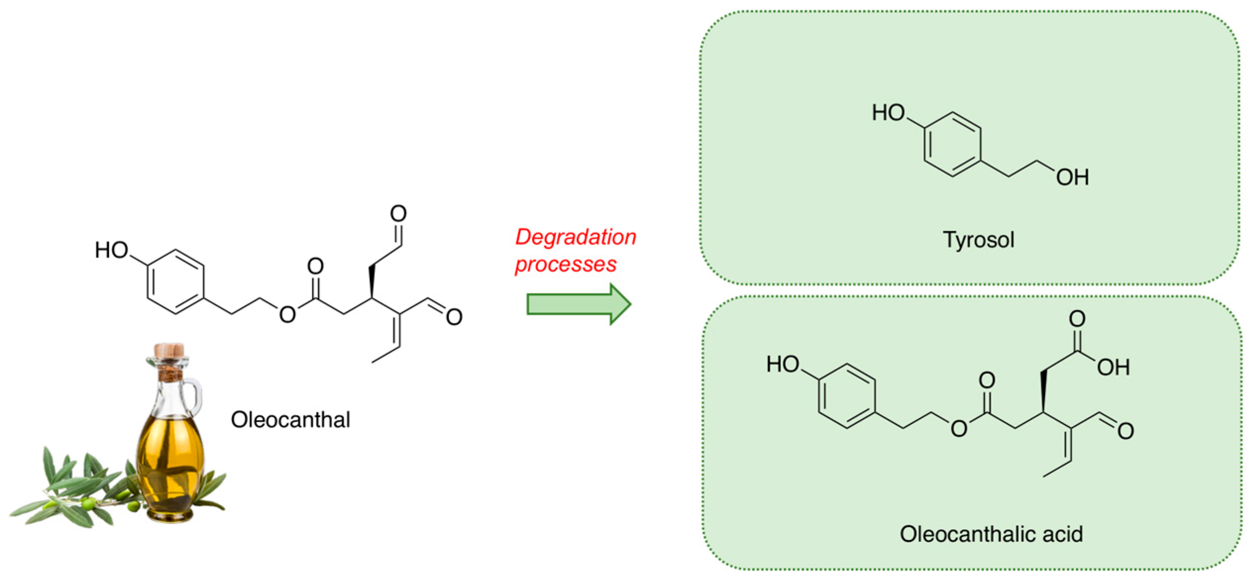 Molecules 28 05150 g001