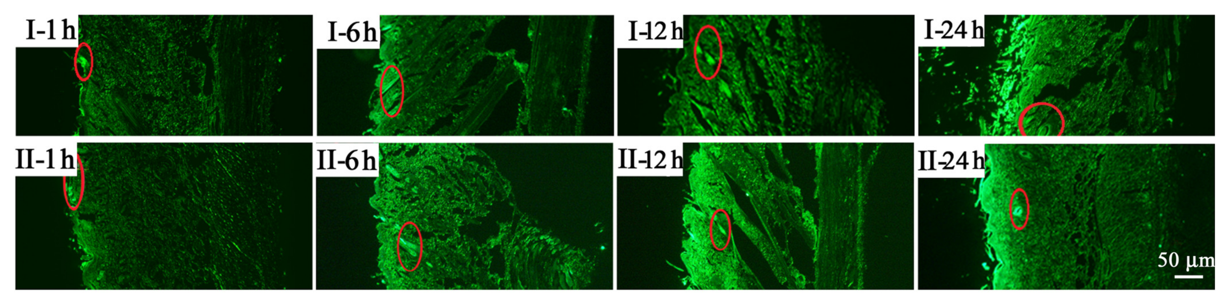 Molecules 28 05151 g002 Molecules 28 05151 g002