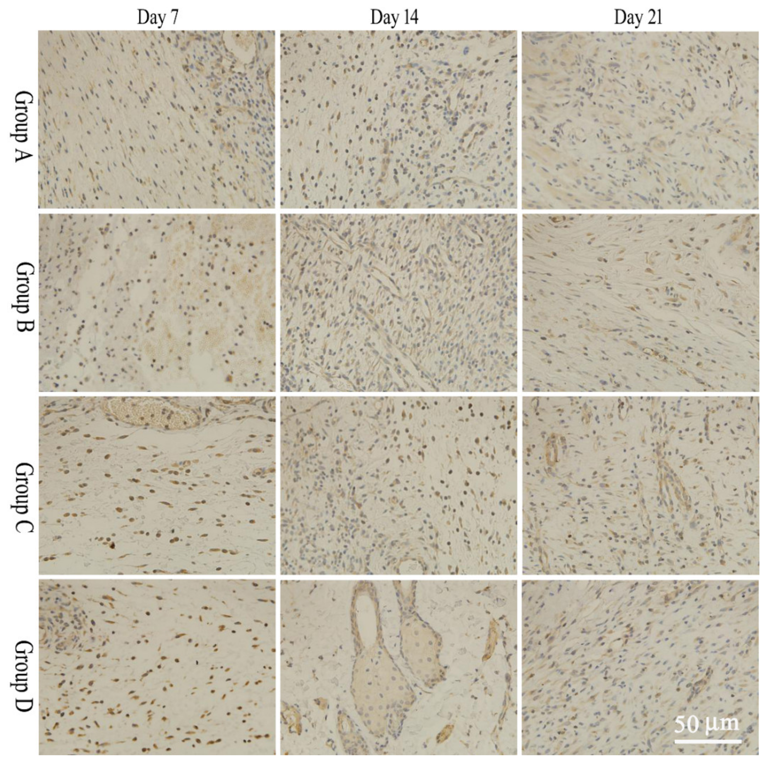 Molecules 28 05151 g004 Molecules 28 05151 g004