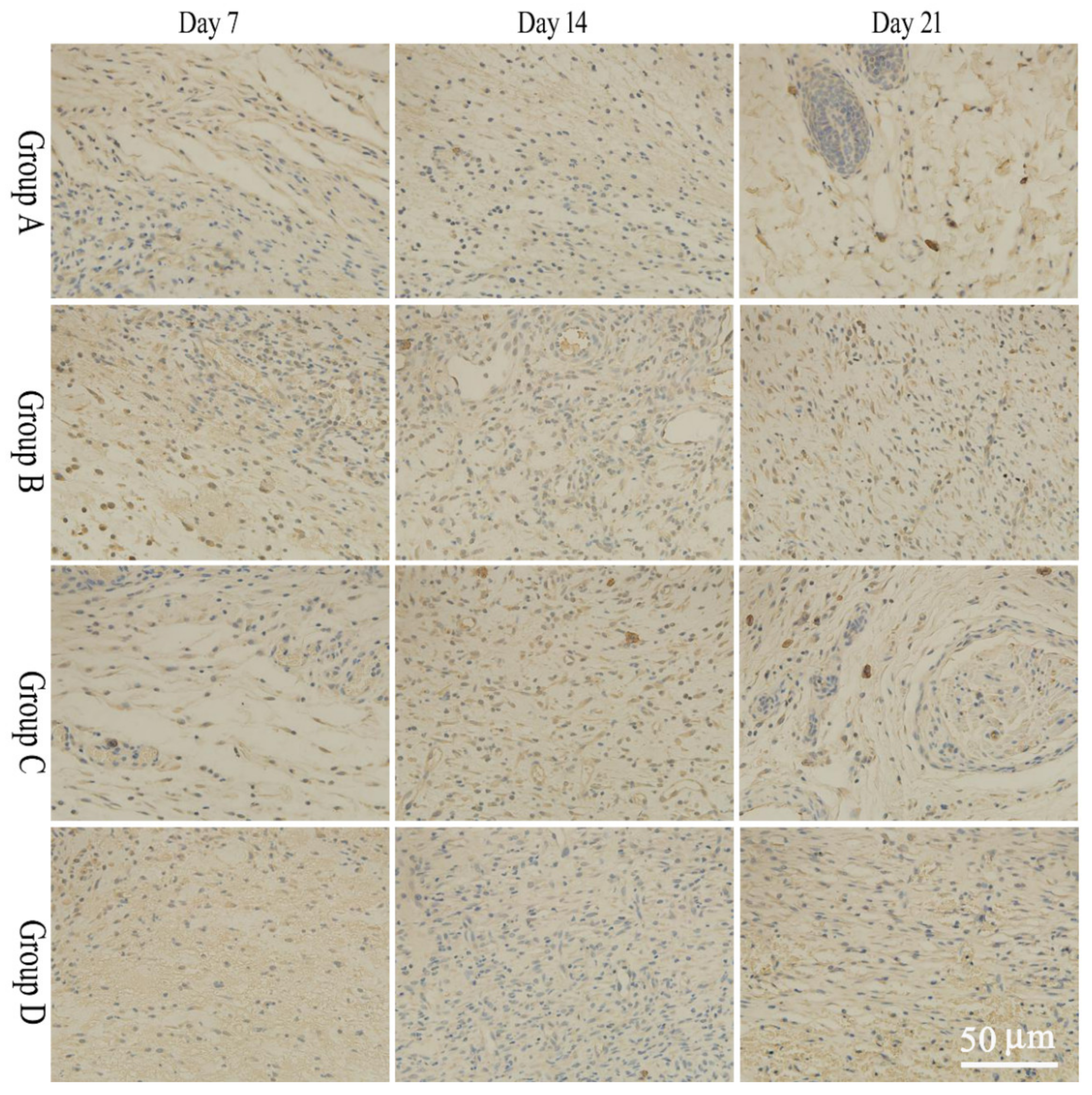Molecules 28 05151 g005 Molecules 28 05151 g005