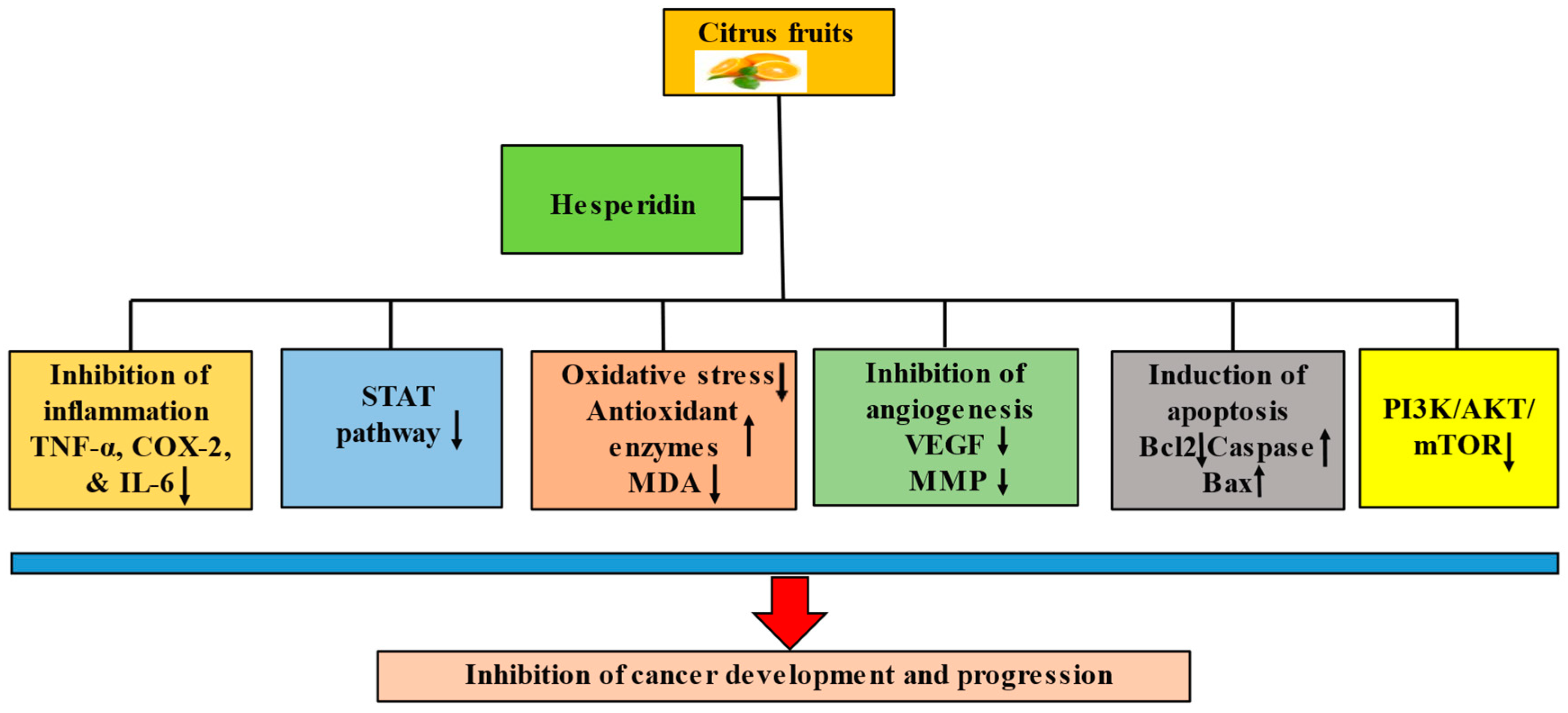 Molecules 28 05152 g002