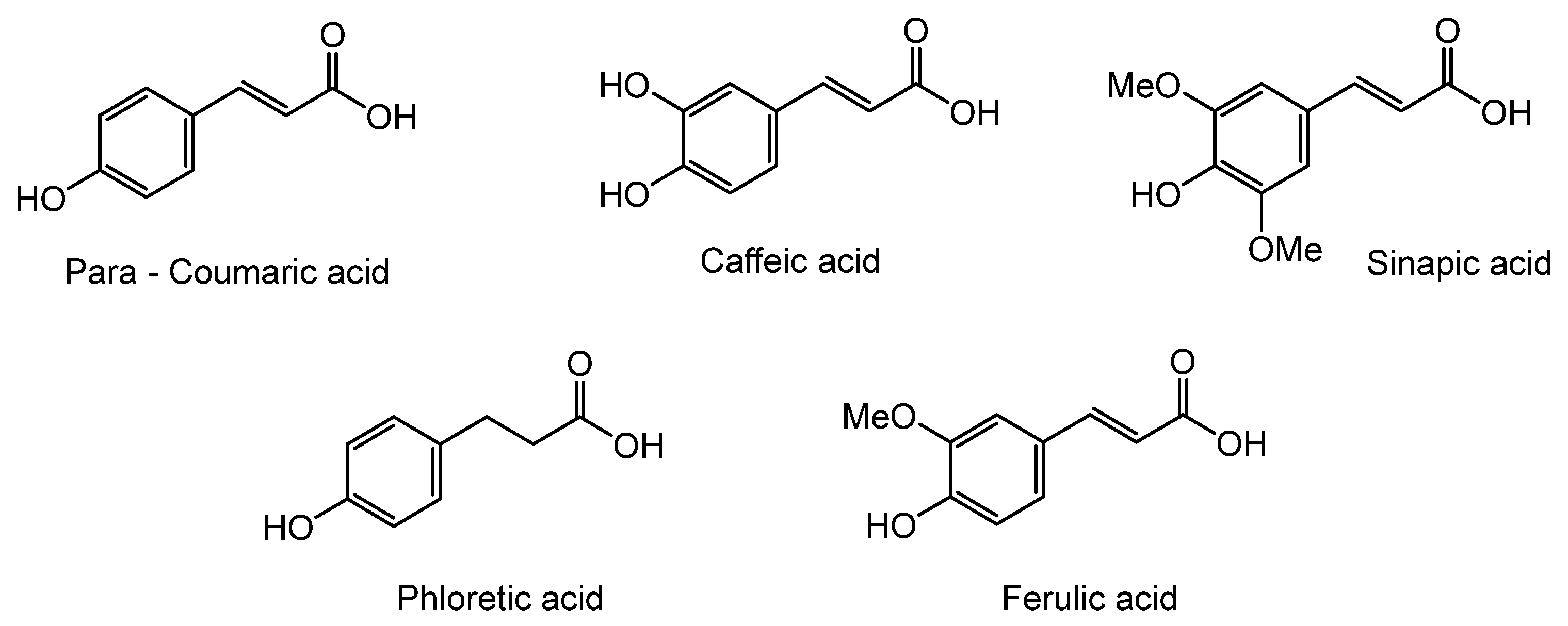Molecules 28 05154 g002