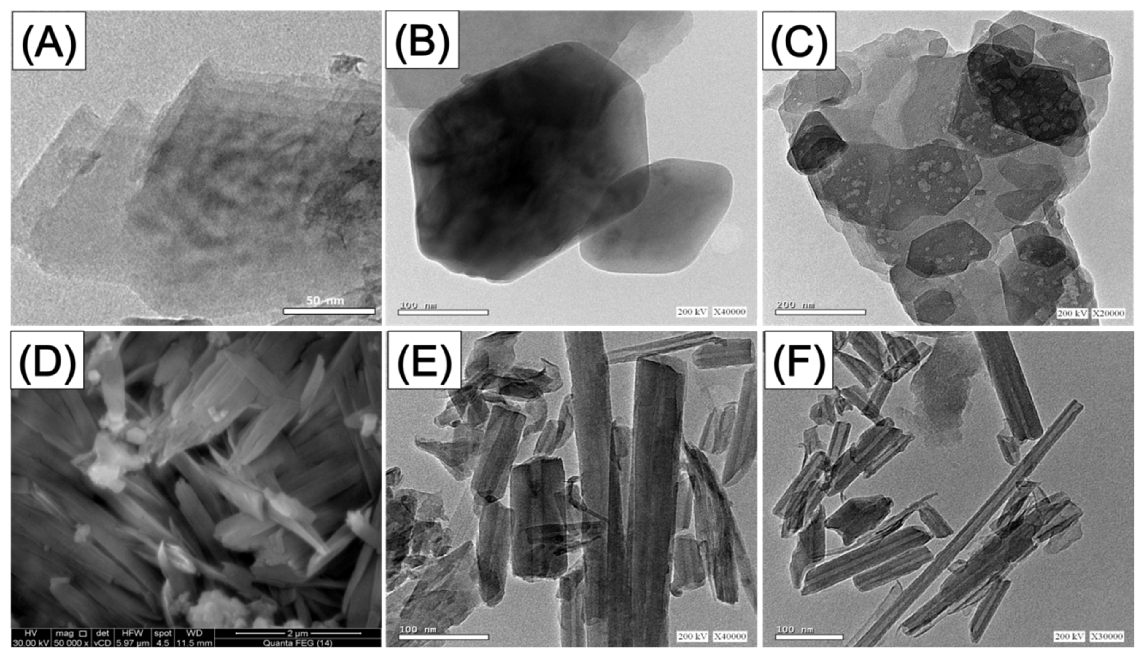 Molecules 28 05158 g002