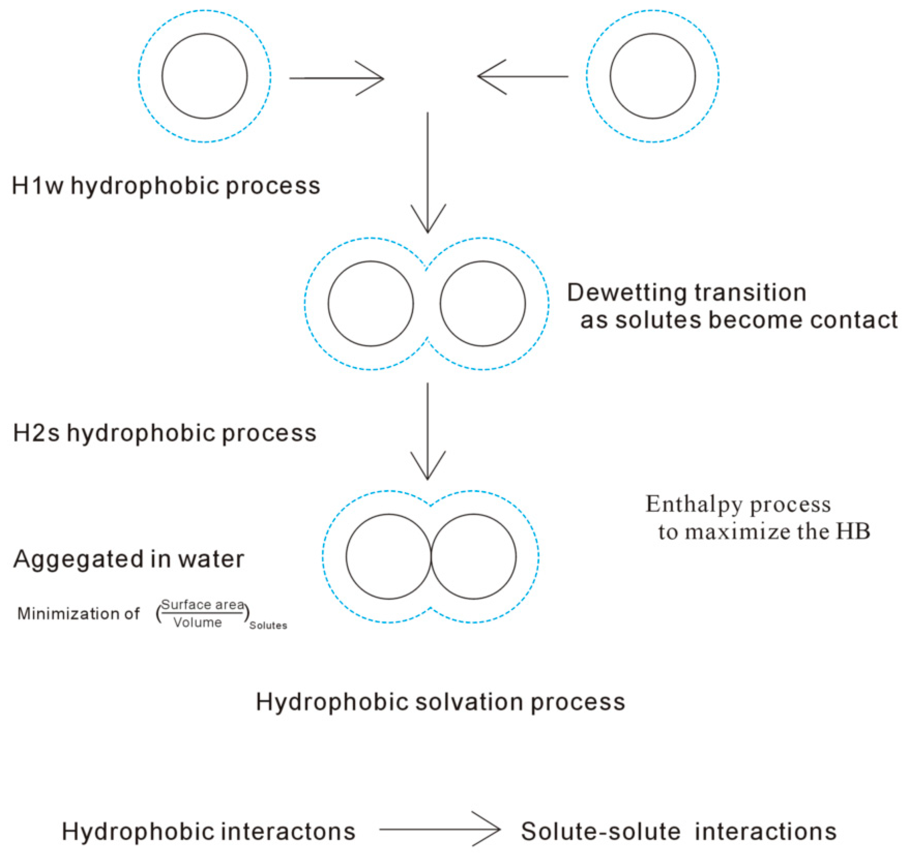 Molecules 28 05164 g002