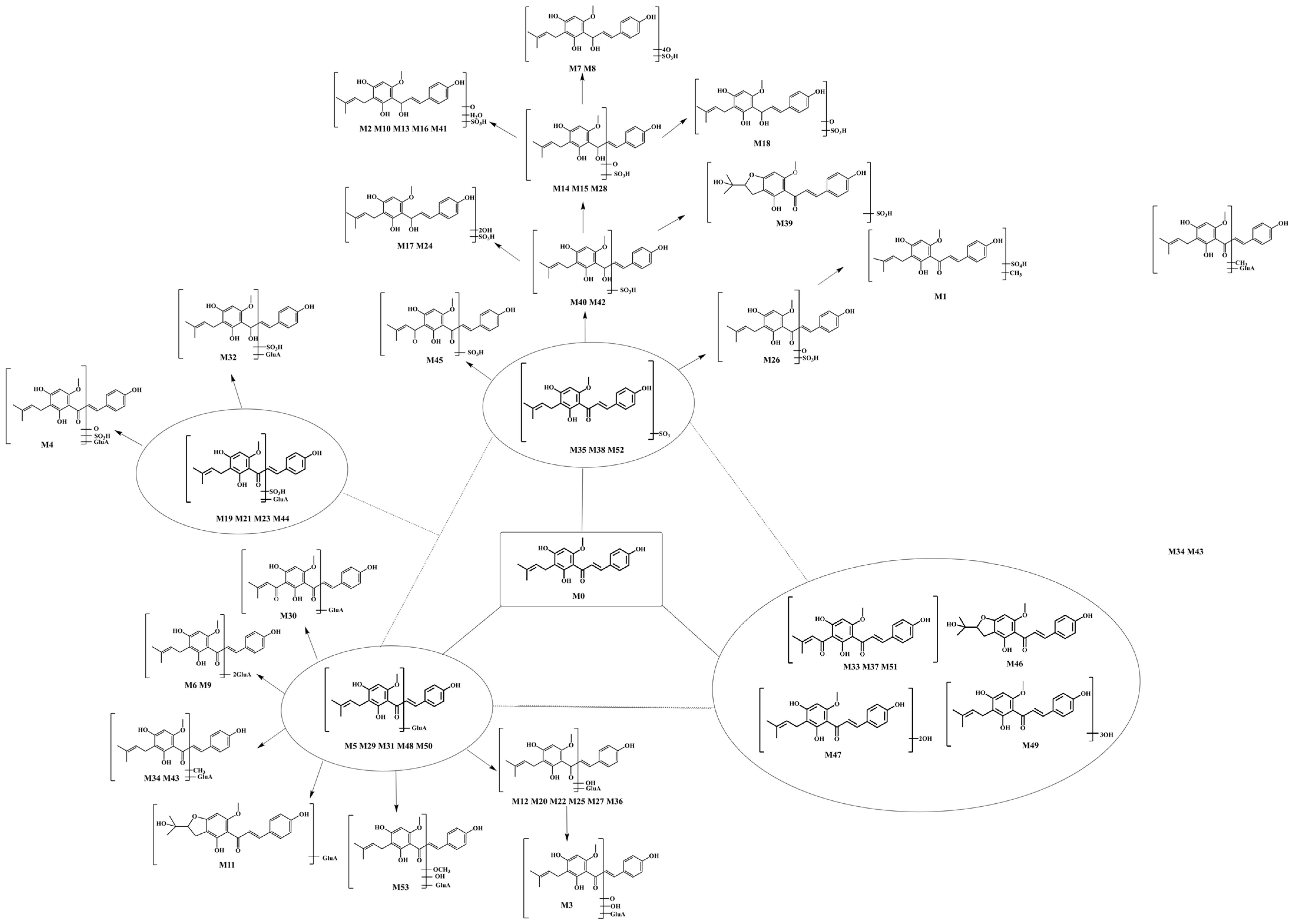 Molecules 28 05168 g003