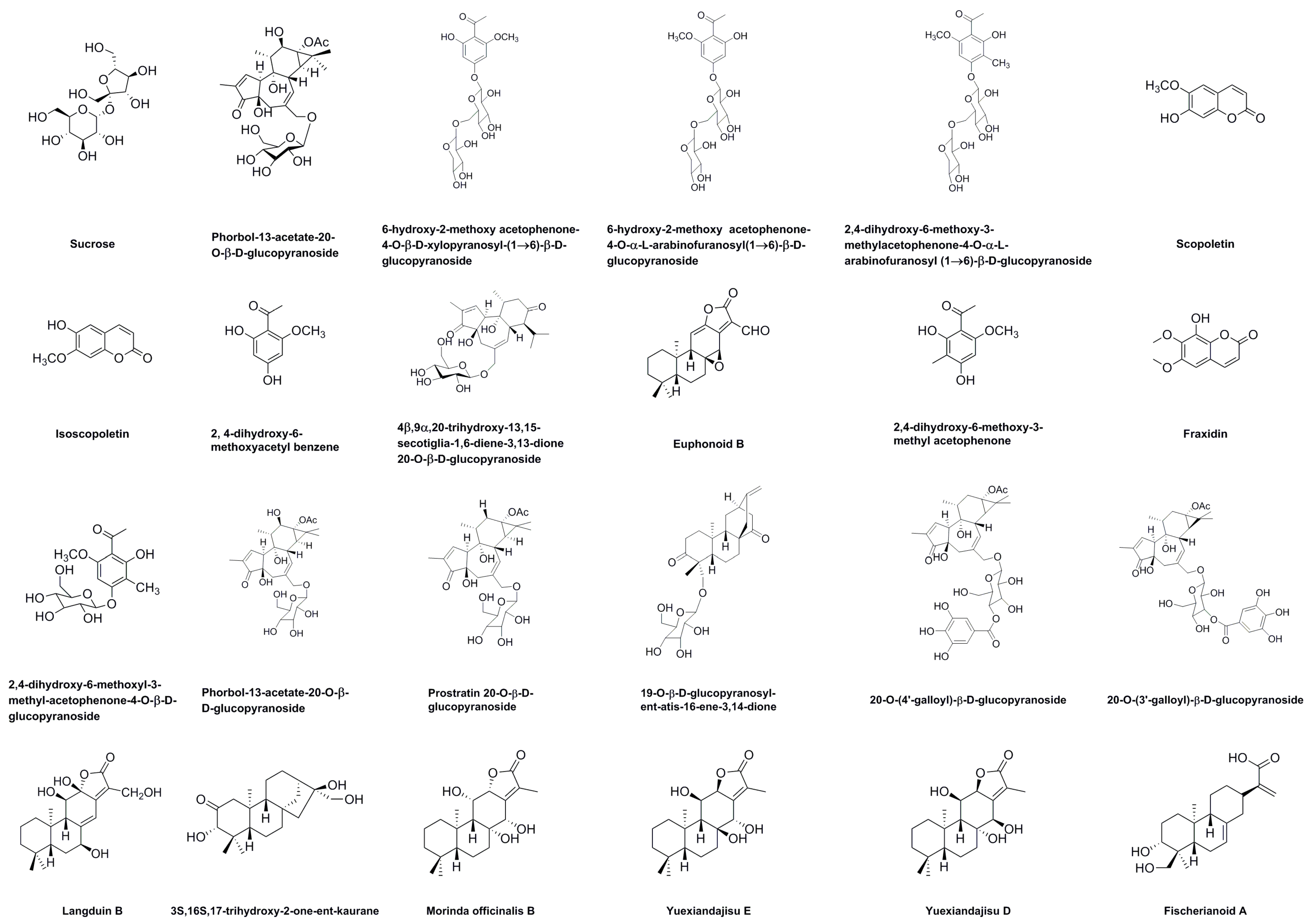 Molecules 28 05172 g004a