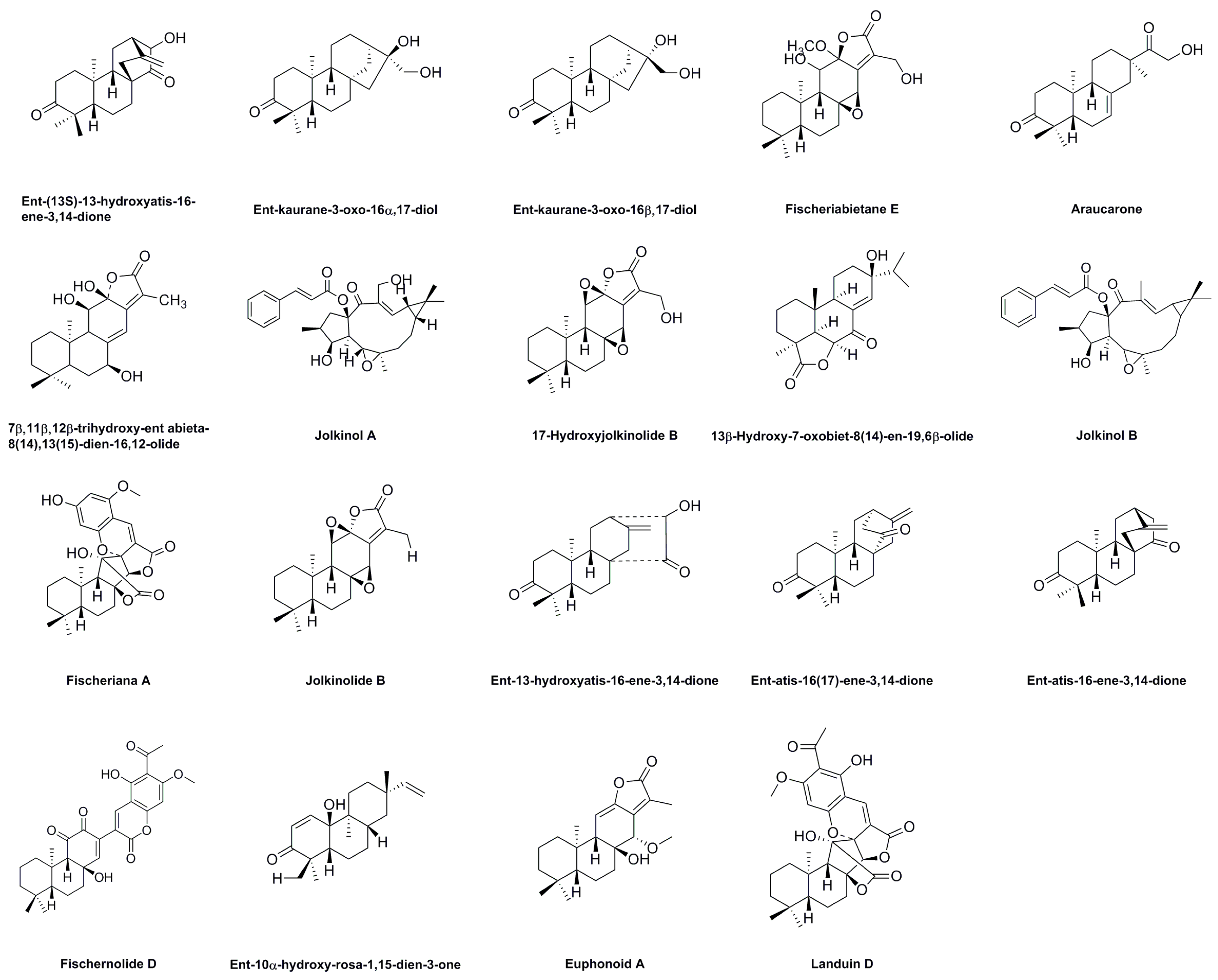 Molecules 28 05172 g004b