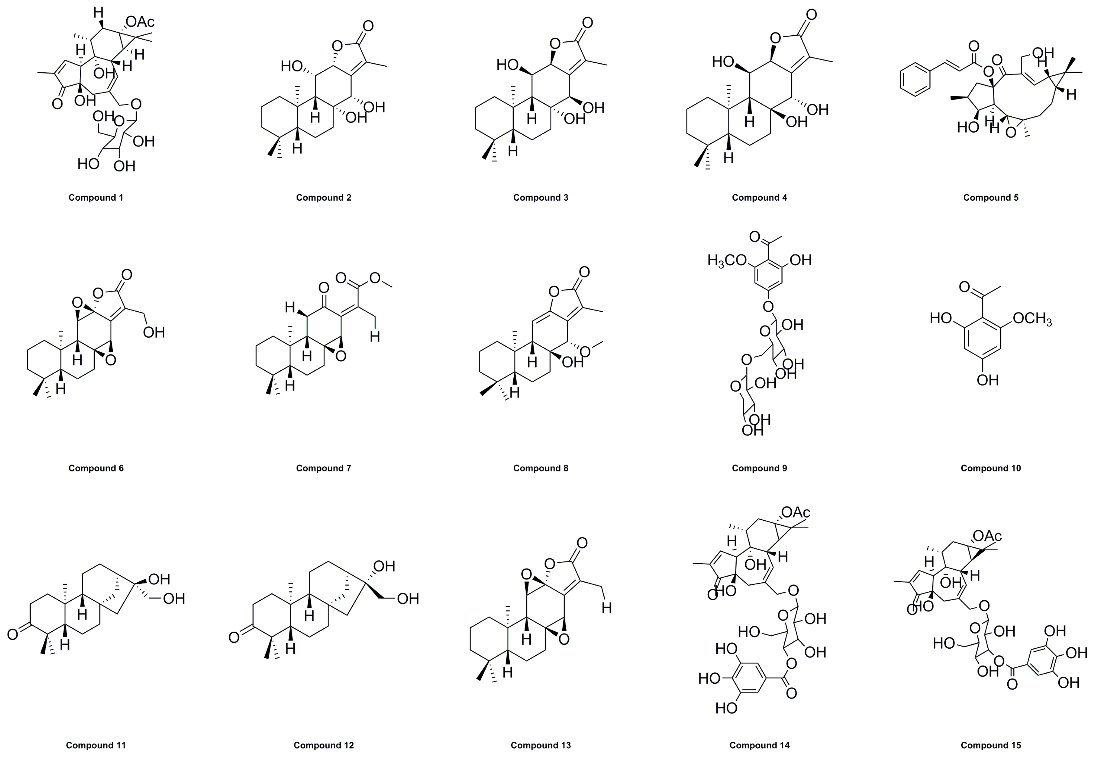 Molecules 28 05172 g006
