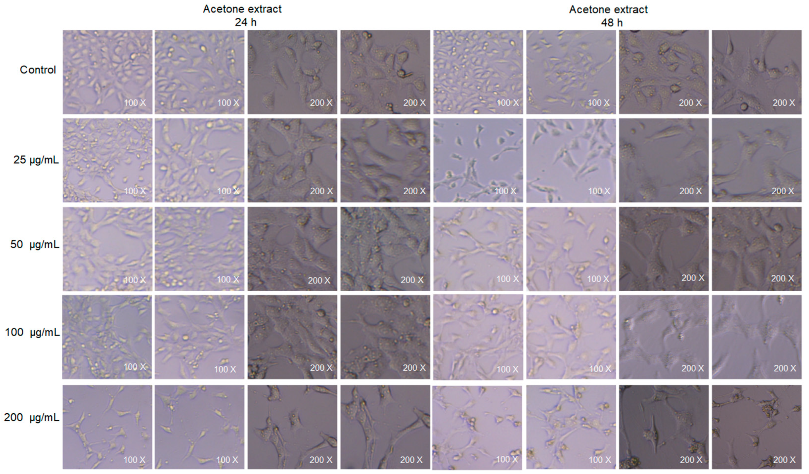 Molecules 28 05172 g012