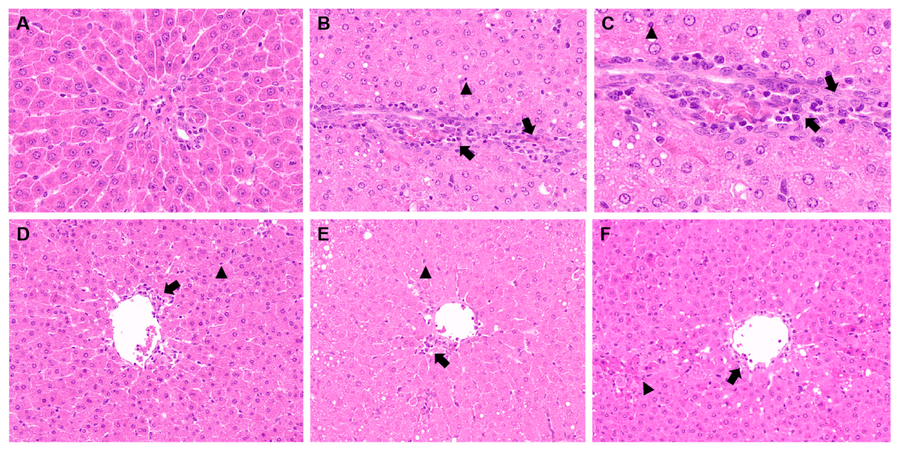 Molecules 28 05172 g016