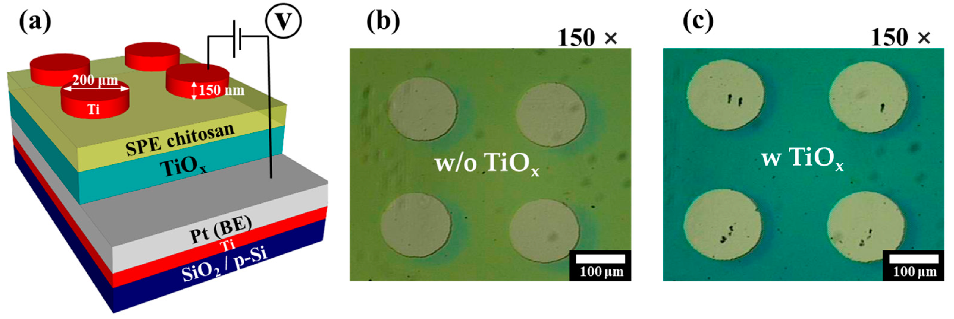 Molecules 28 05174 g001
