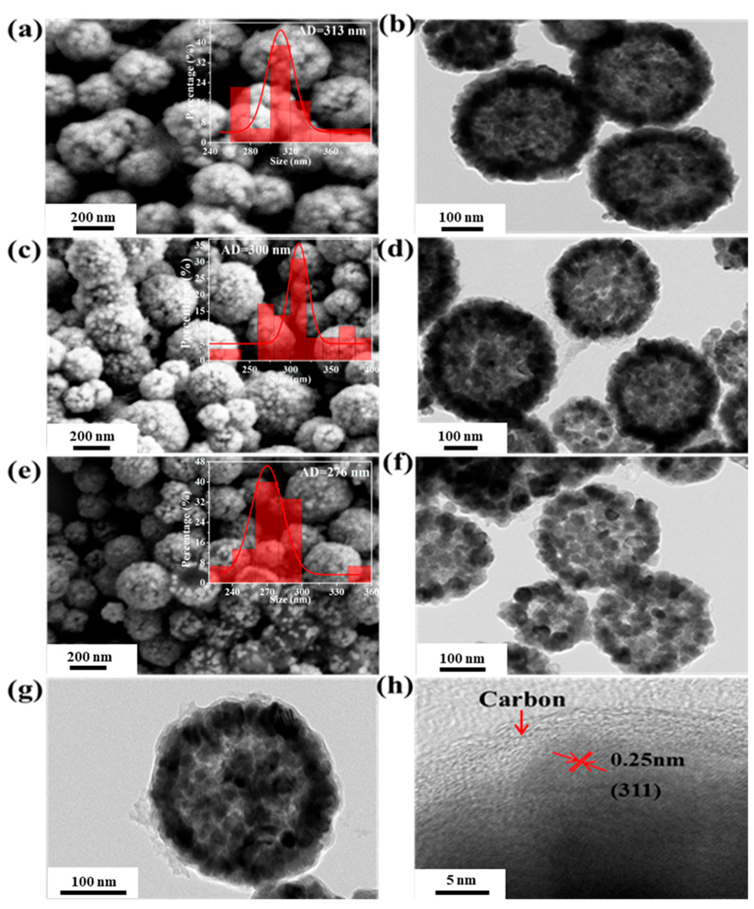 Molecules 28 05183 g002