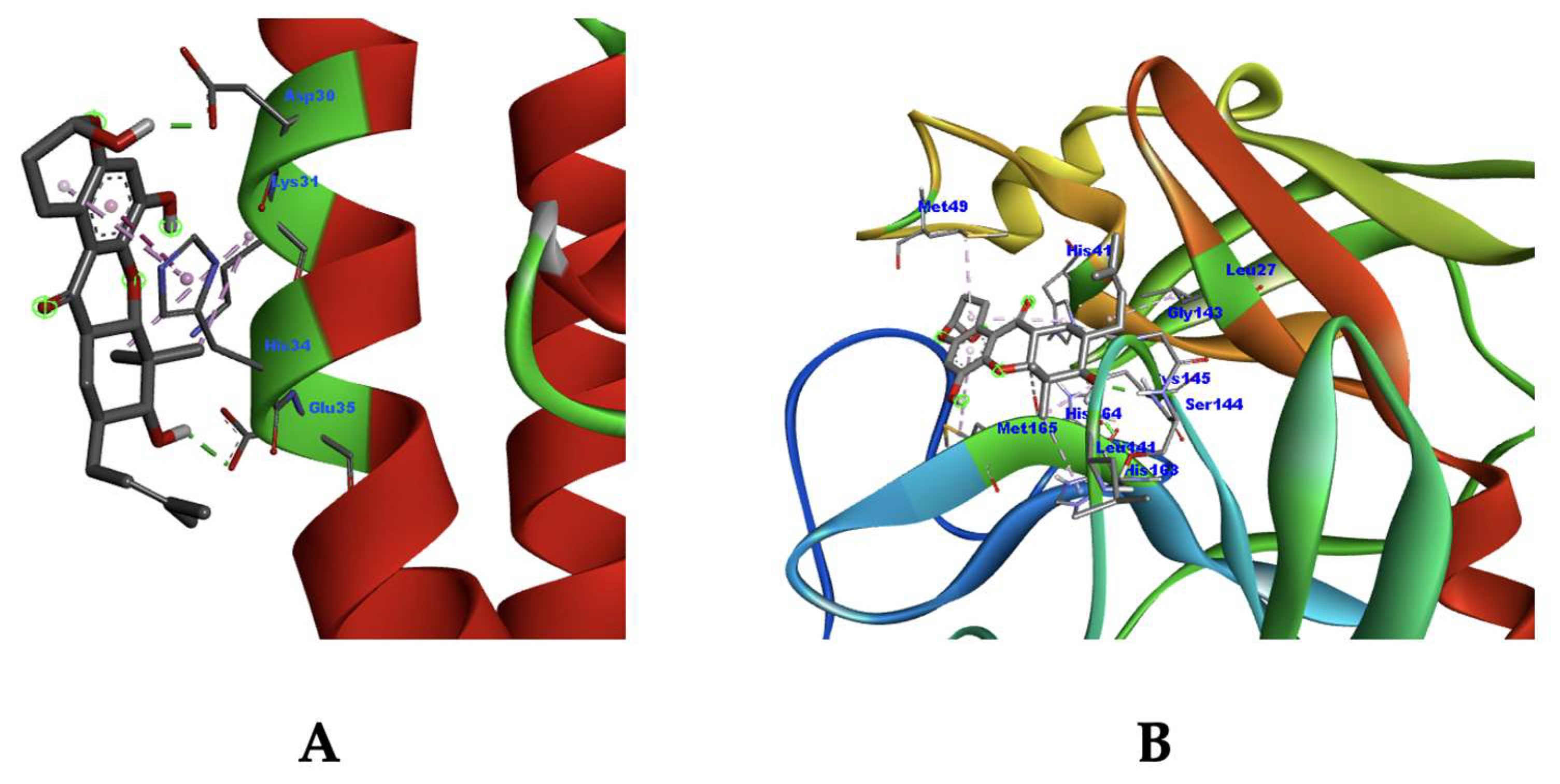 Molecules 28 05187 g005