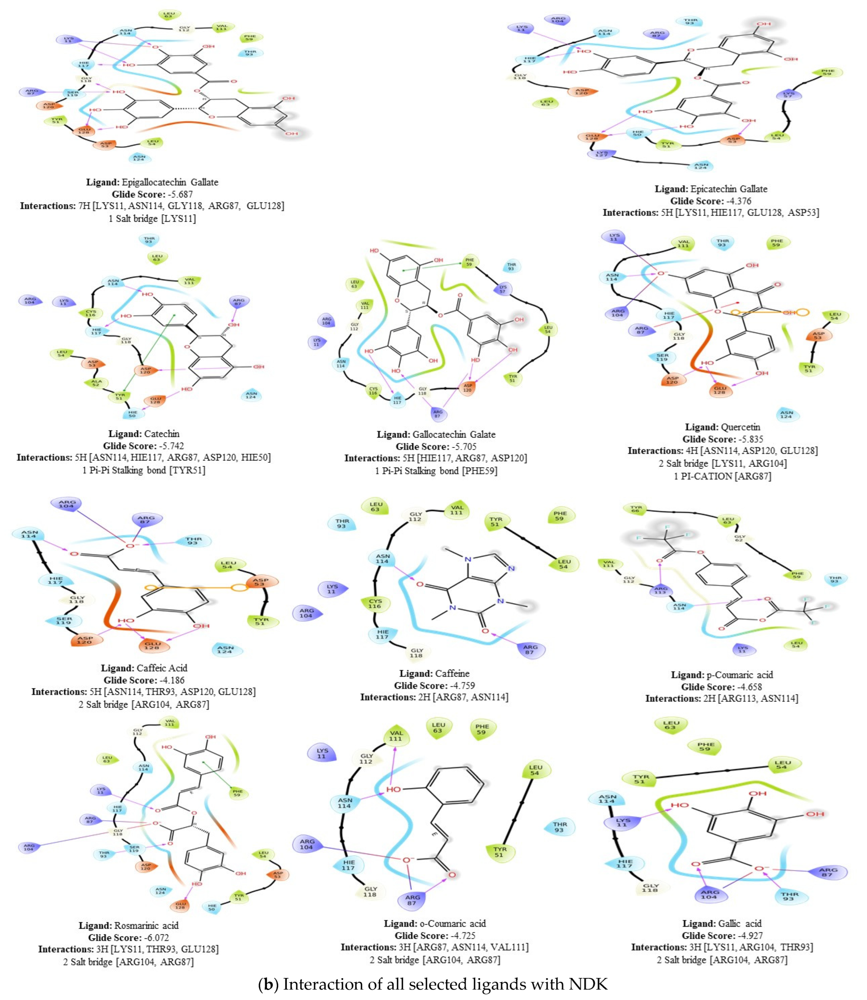 Molecules 28 05189 g001b