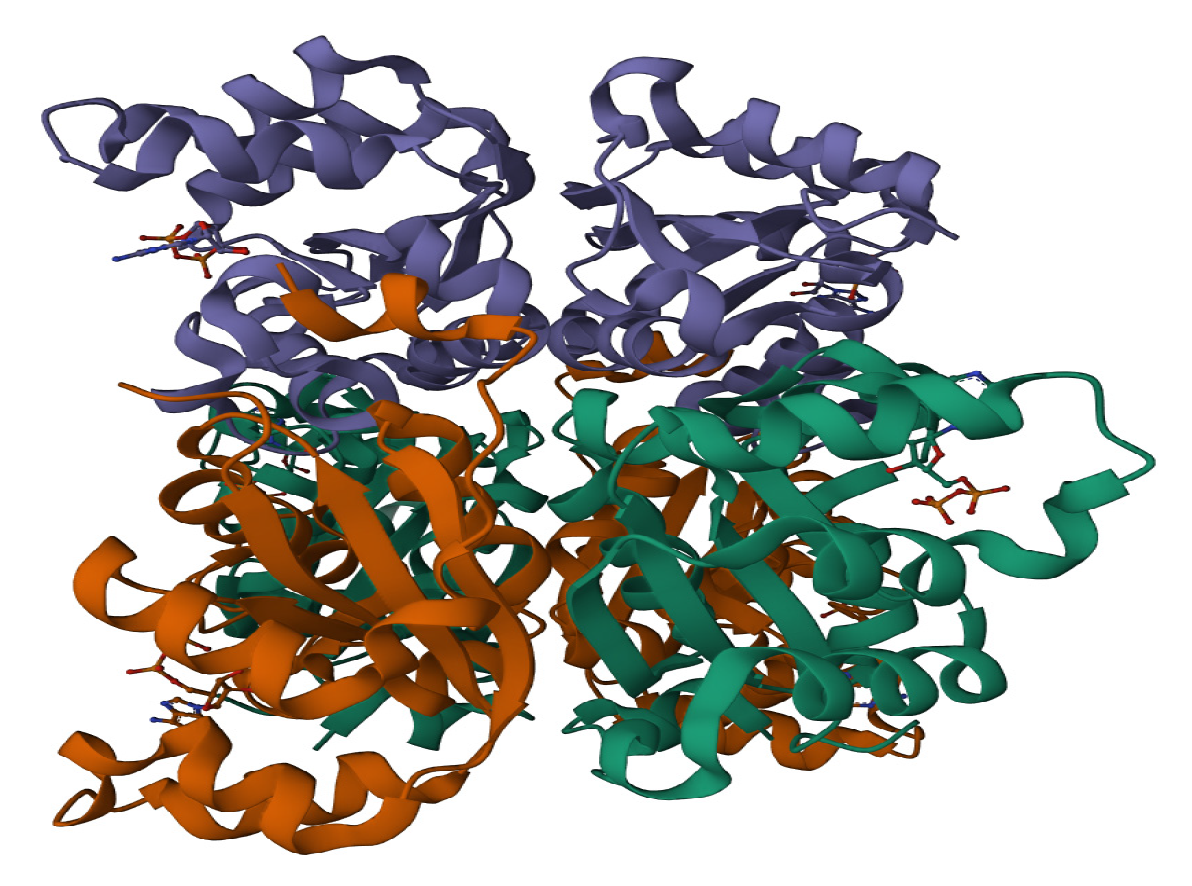 Molecules 28 05189 g012
