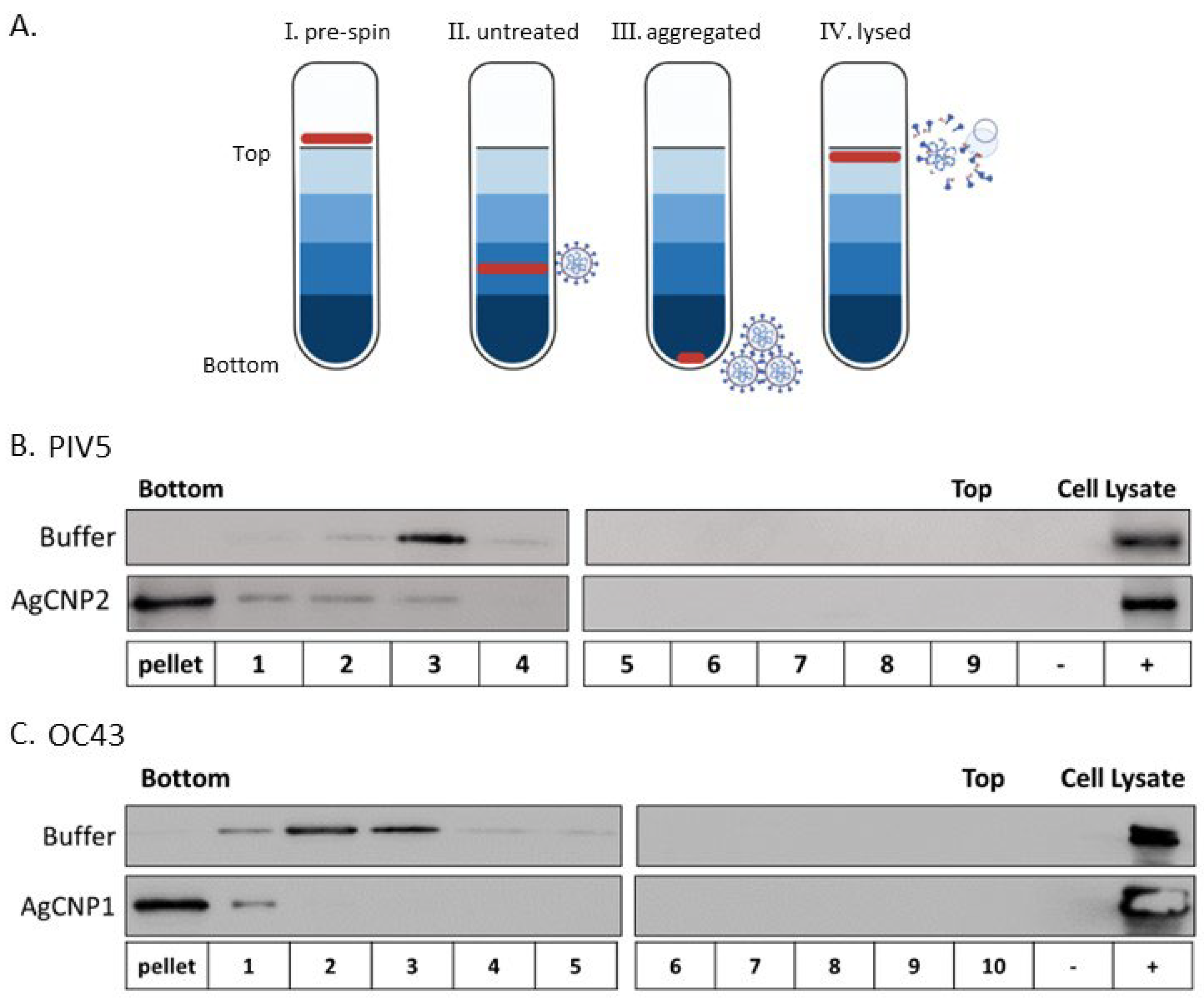 Molecules 28 05190 g002