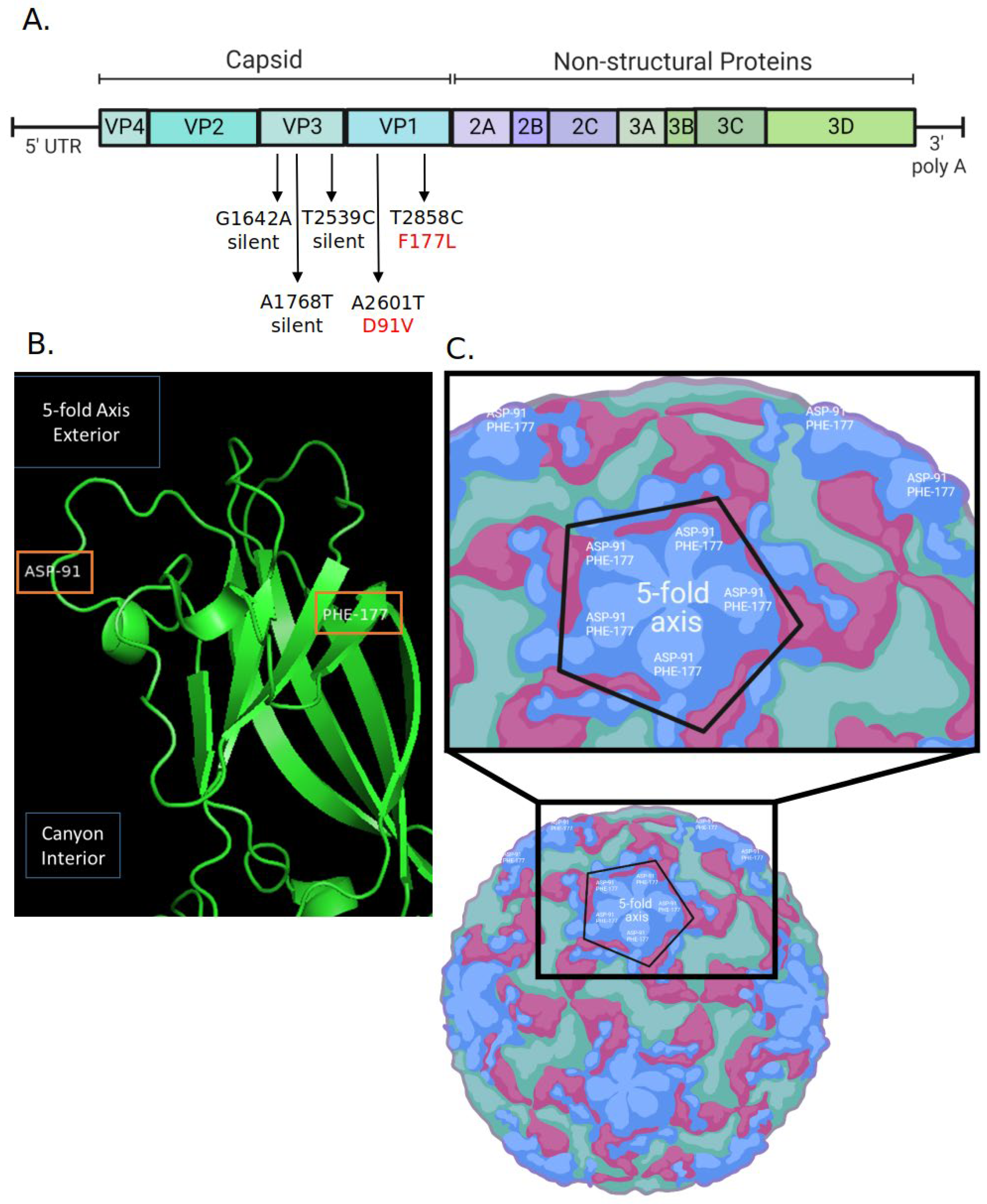 Molecules 28 05190 g004