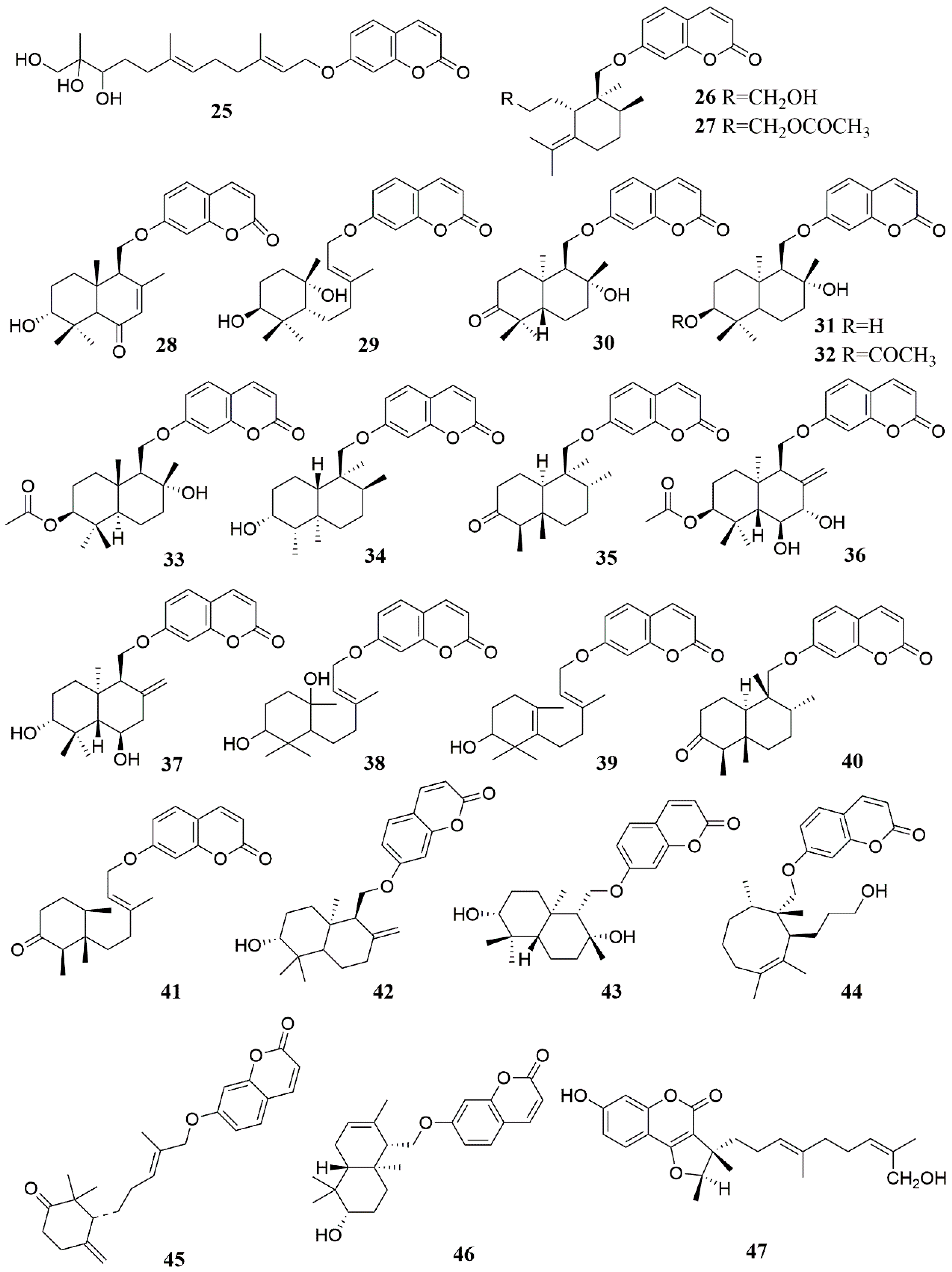 Molecules 28 05191 g003