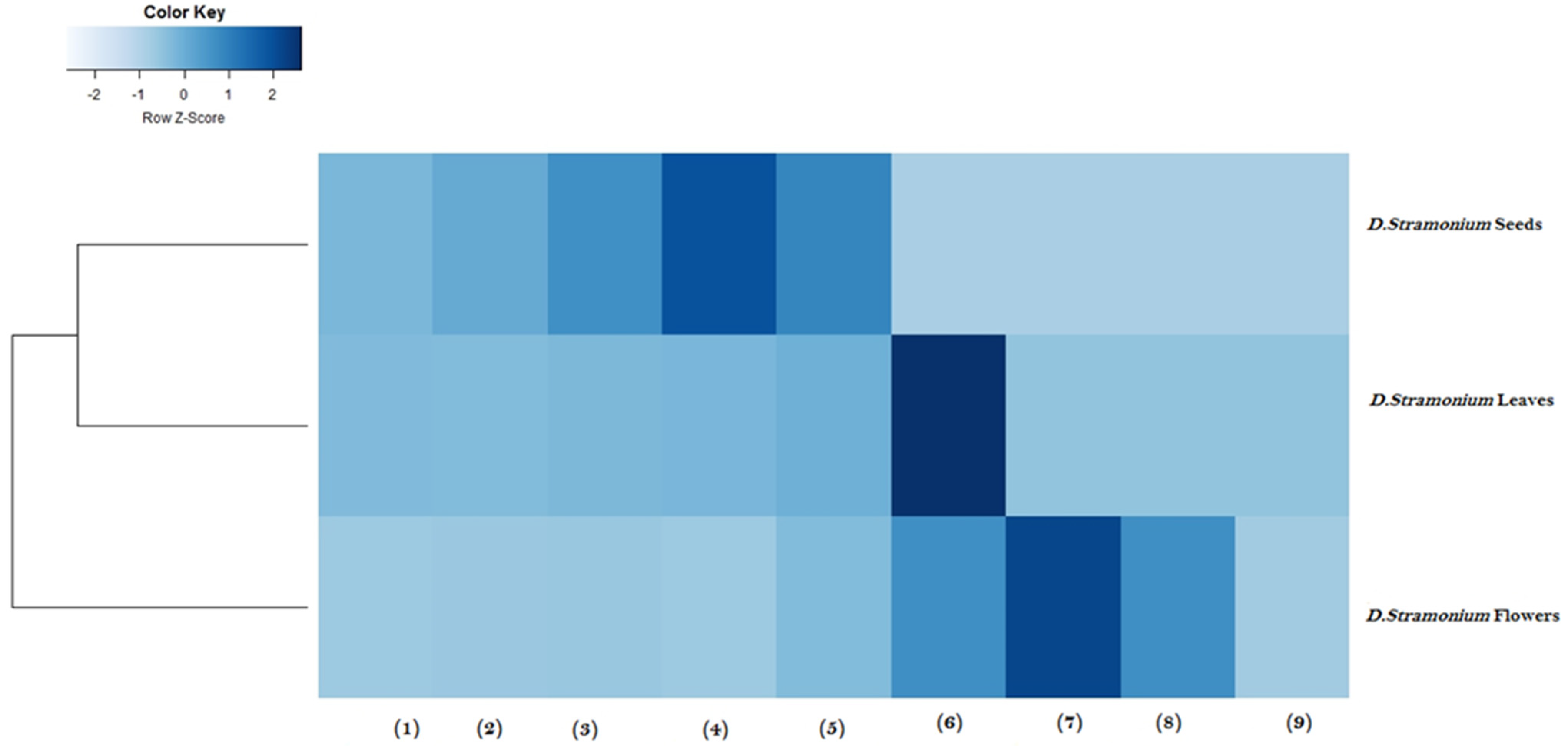 Molecules 28 05195 g001