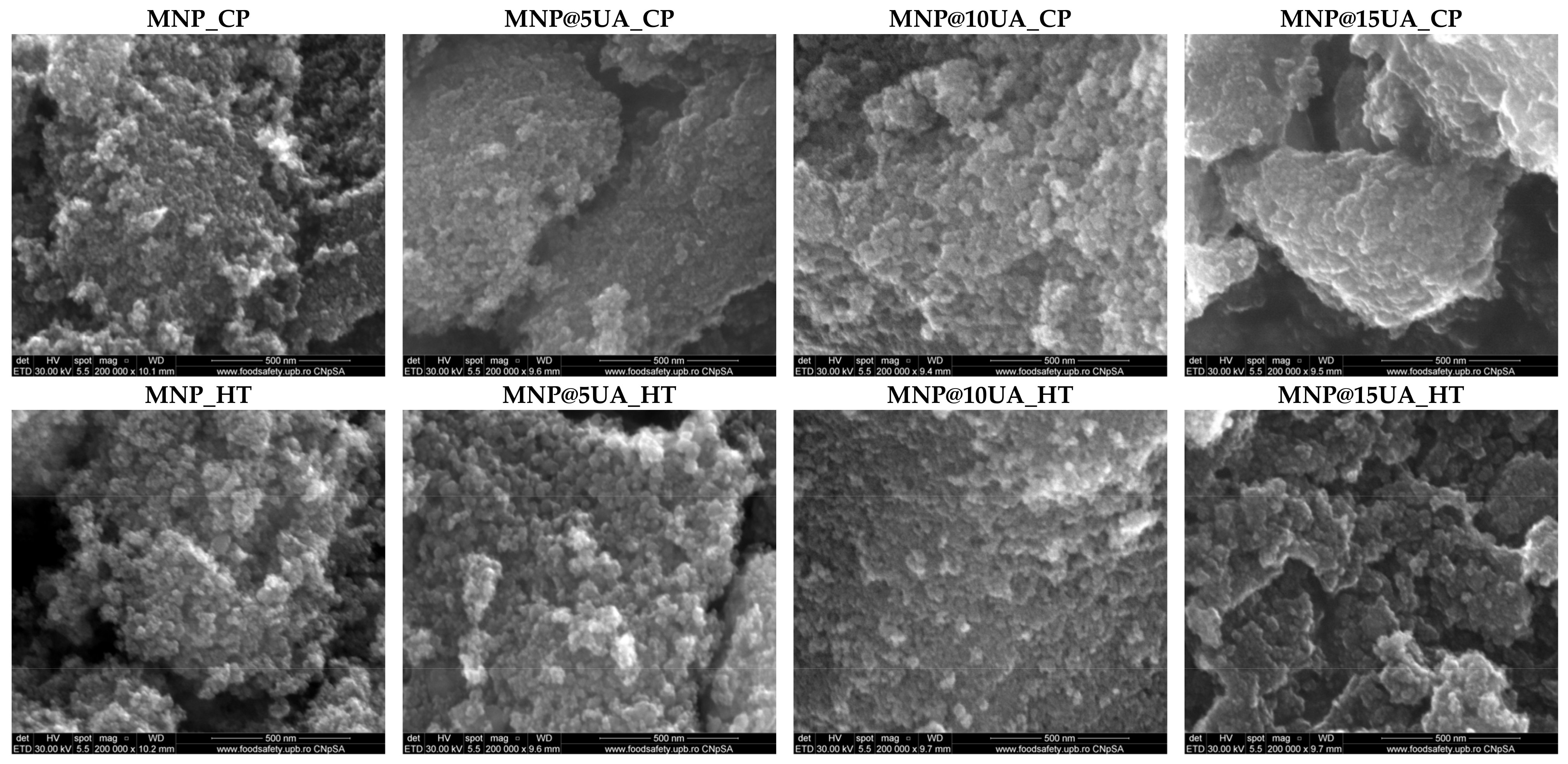 Molecules 28 05198 g006