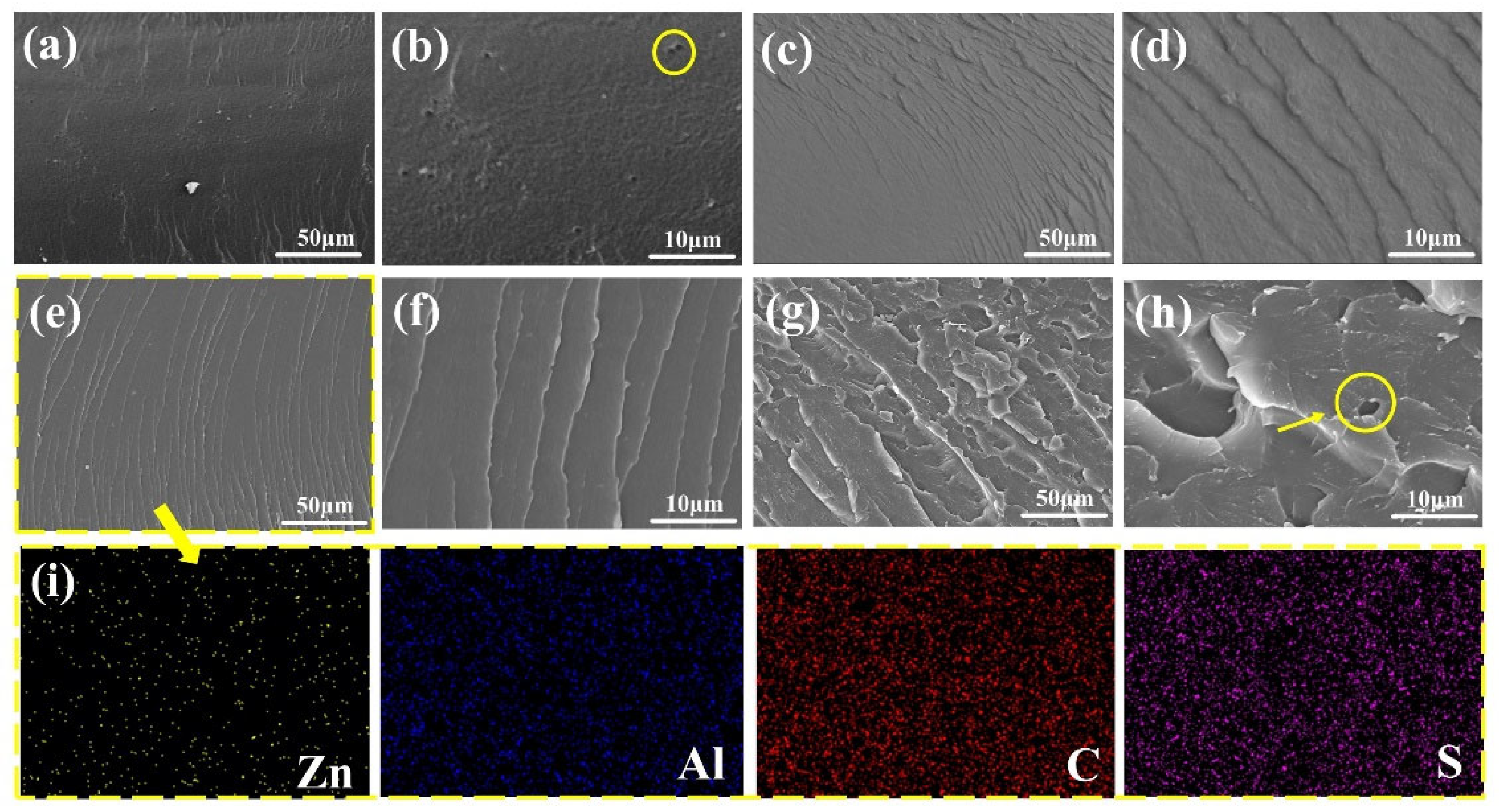 Molecules 28 05199 g003