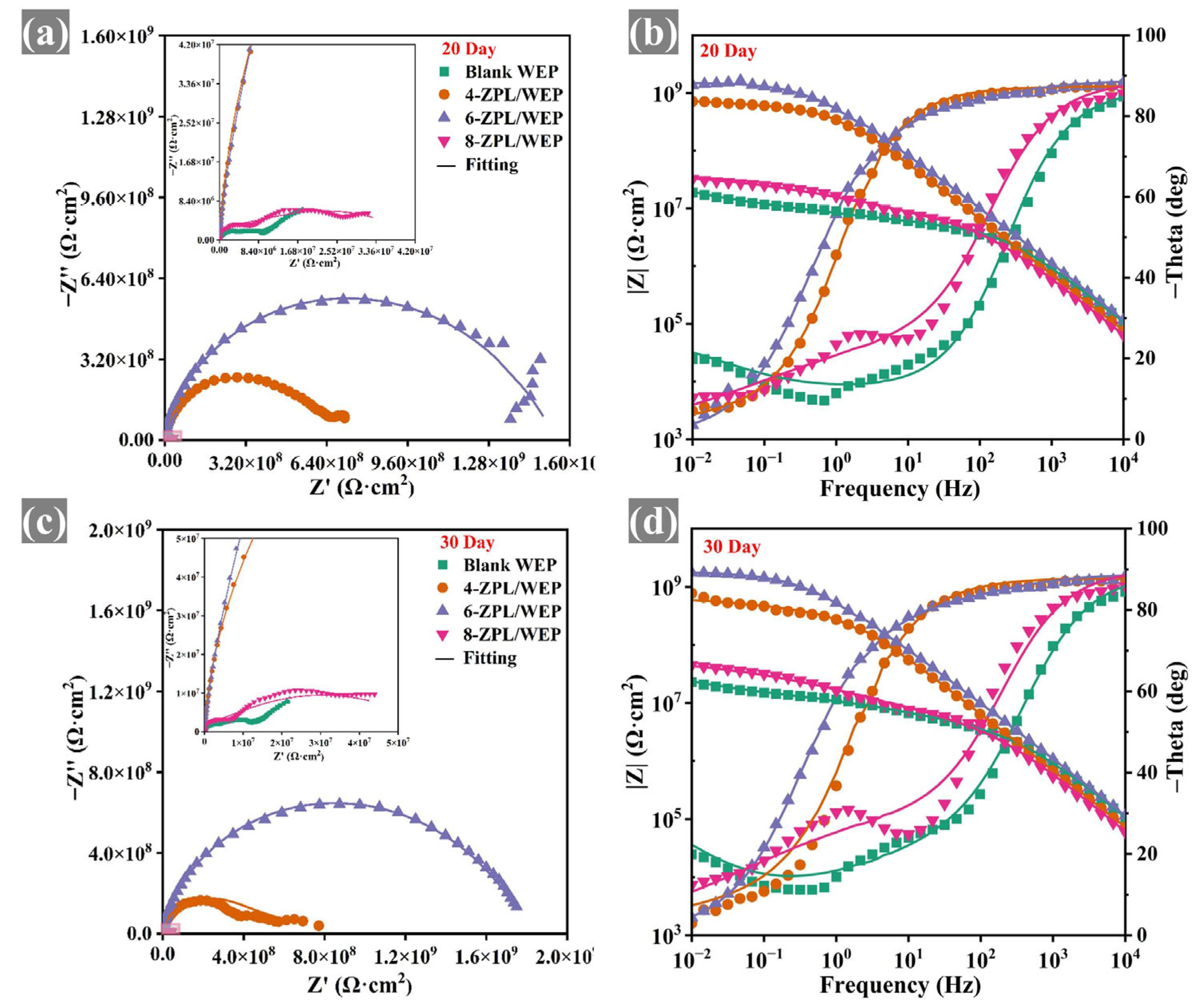 Molecules 28 05199 g006