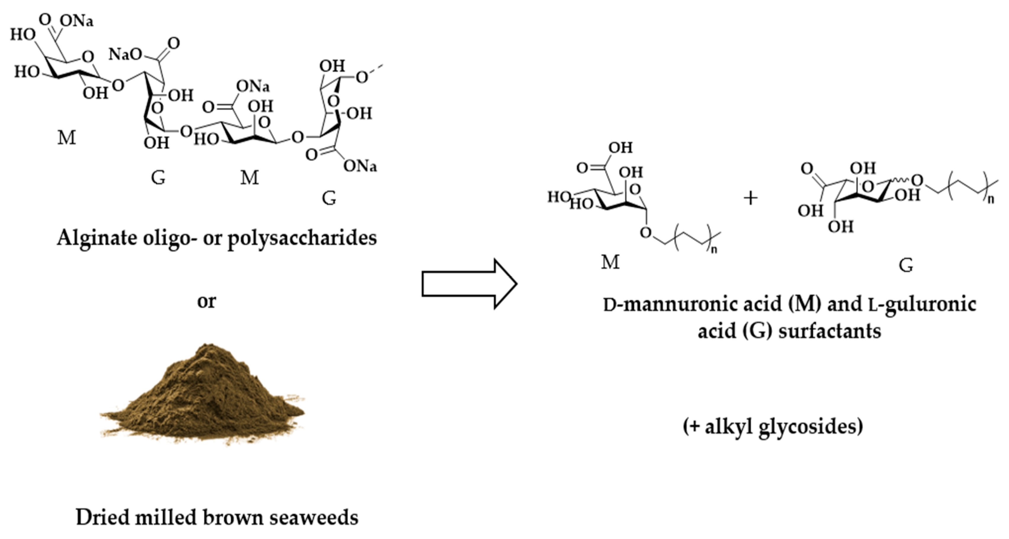 Molecules 28 05201 g001