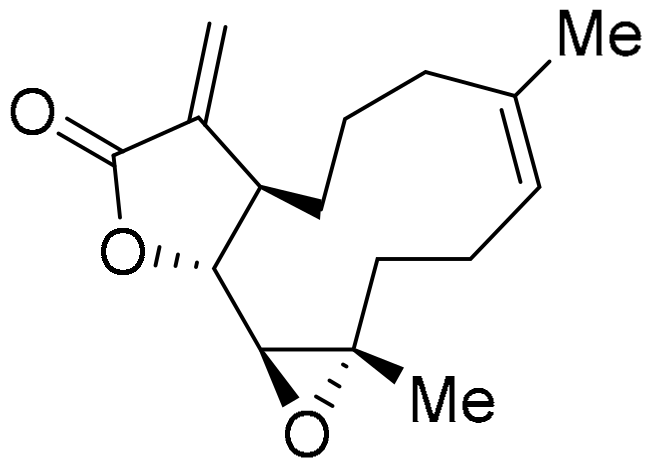 Molecules 28 05202 g017