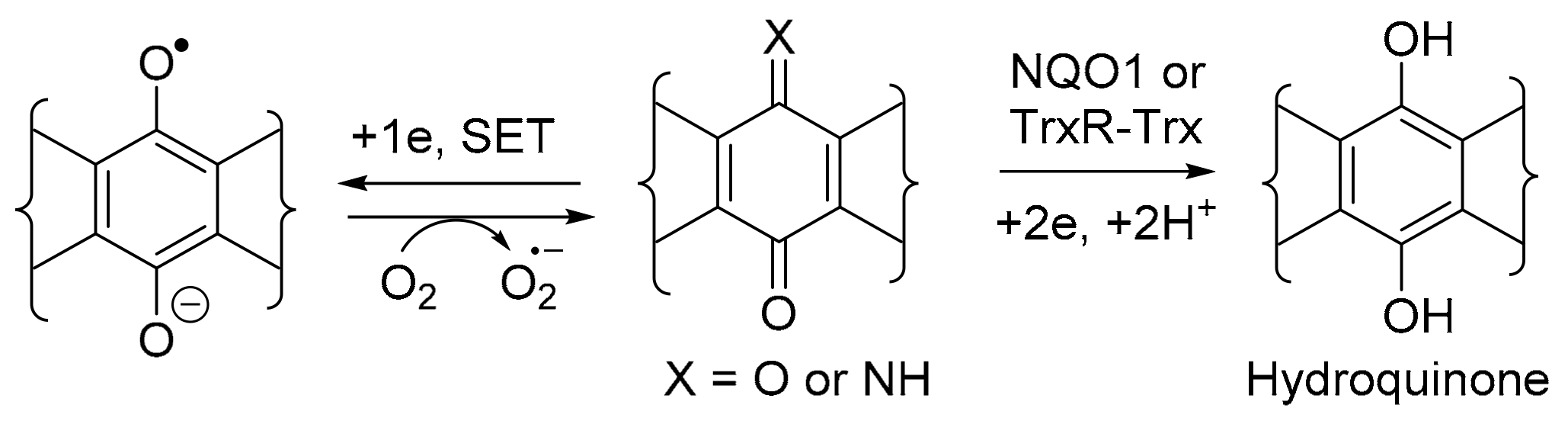 Molecules 28 05202 sch002