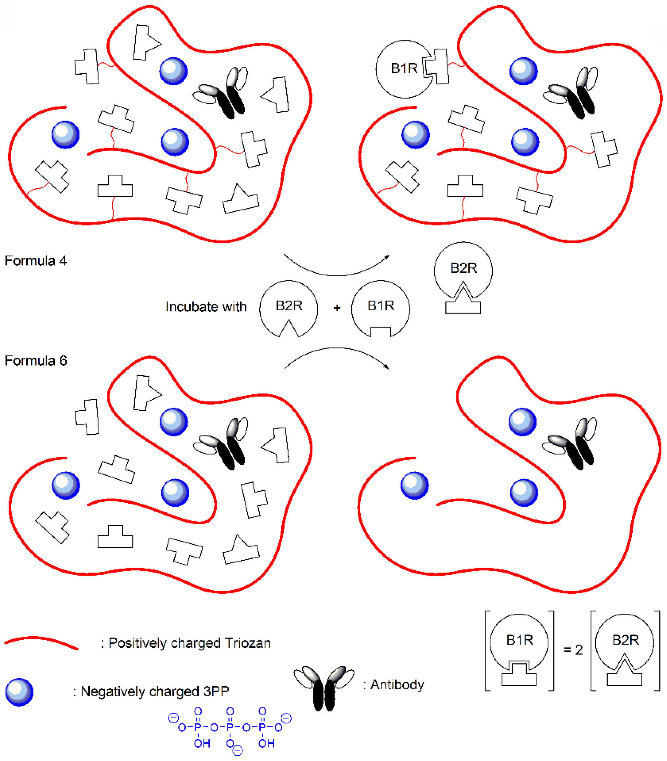 Molecules 28 05206 sch002