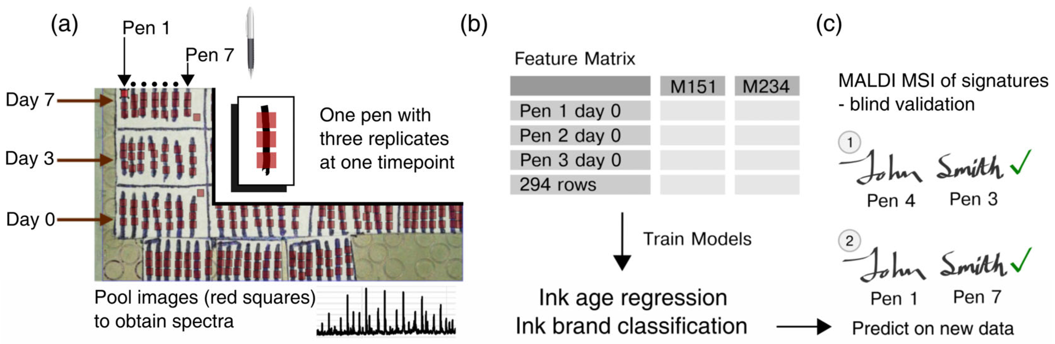 Molecules 28 05207 g001