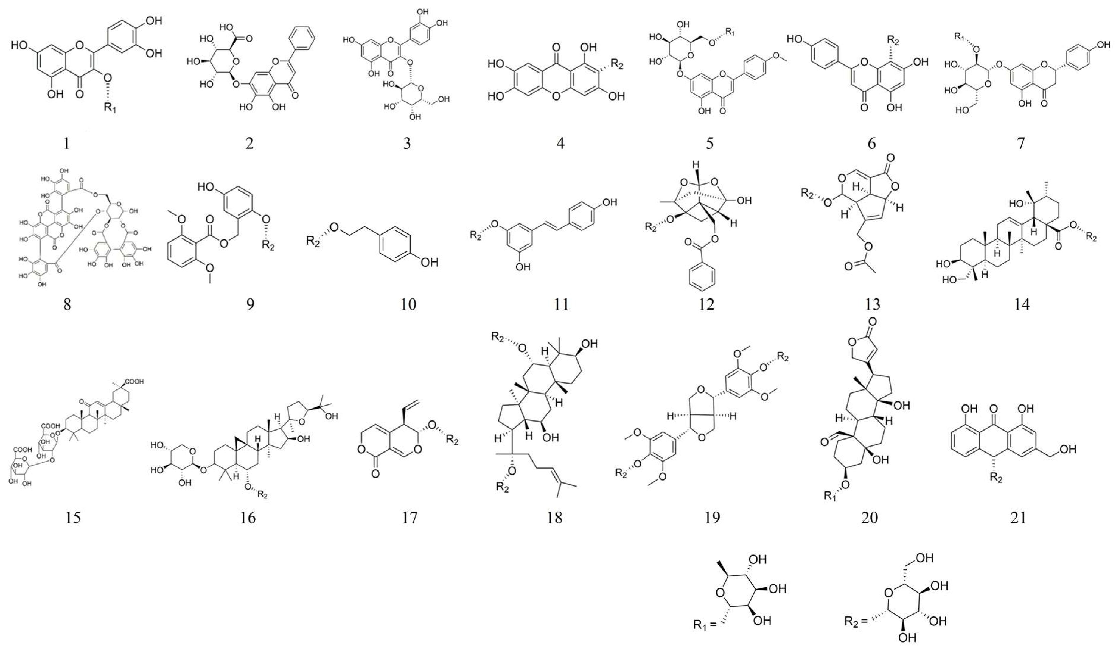 Molecules 28 05210 g001