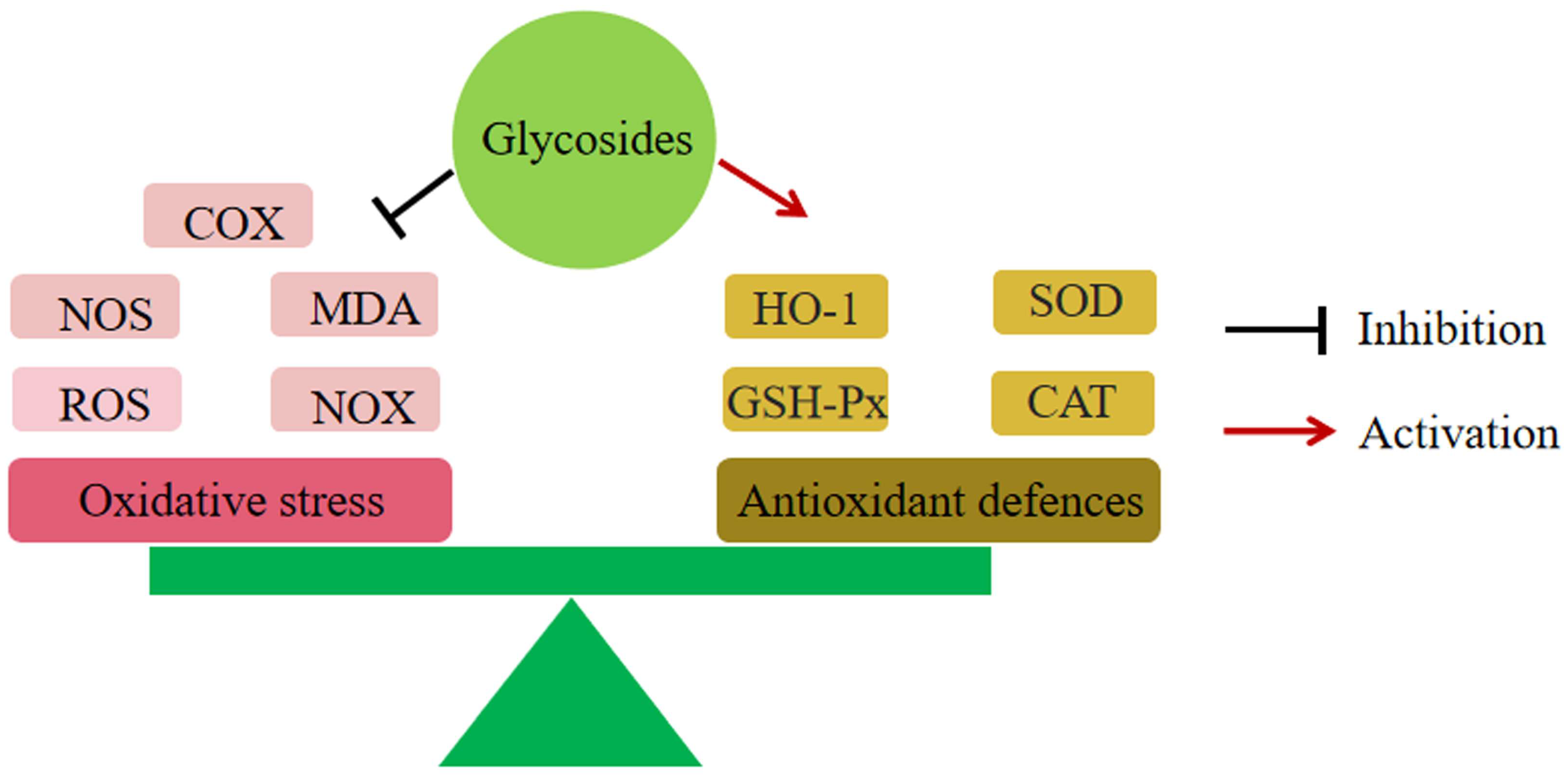 Molecules 28 05210 g002