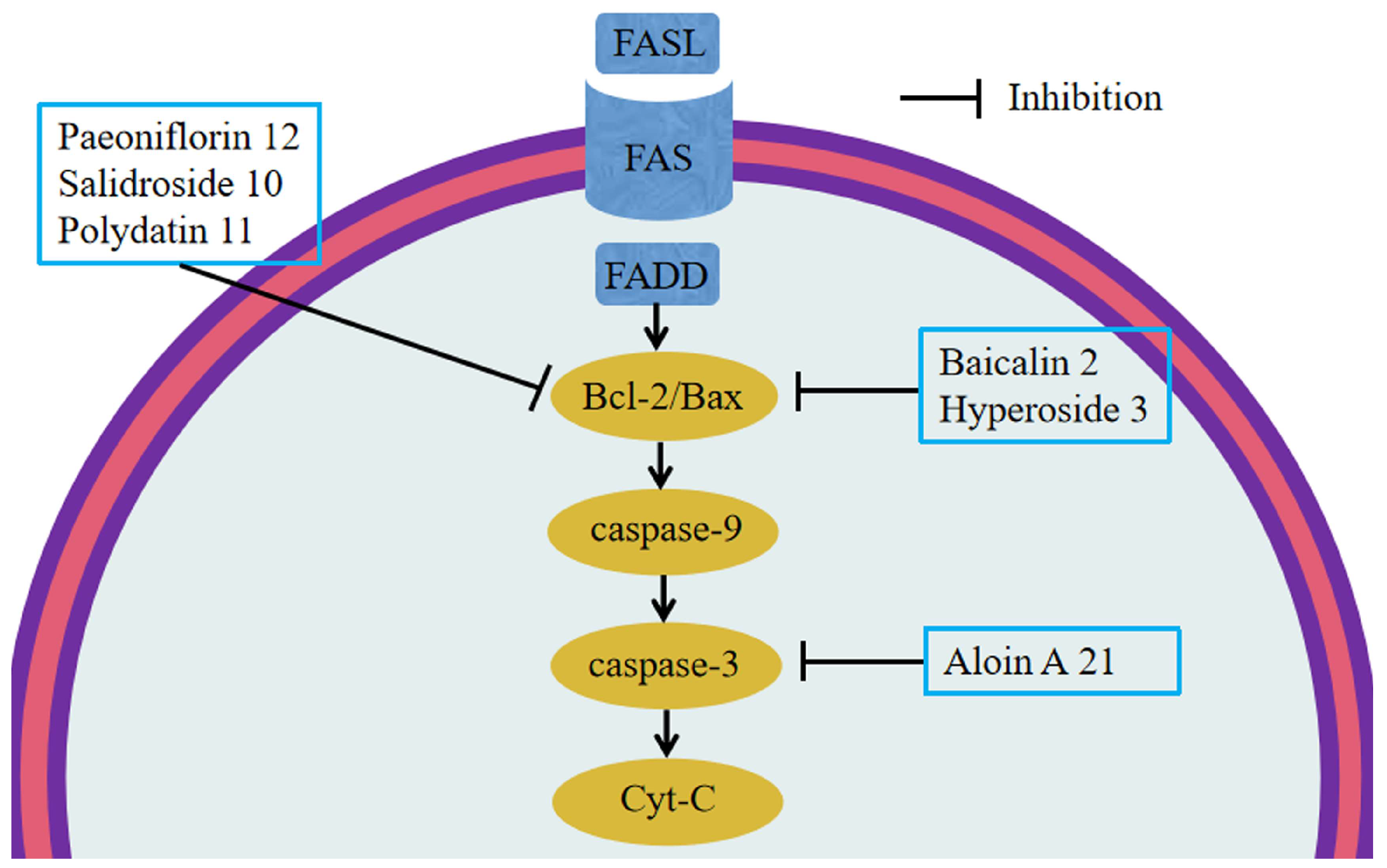 Molecules 28 05210 g003