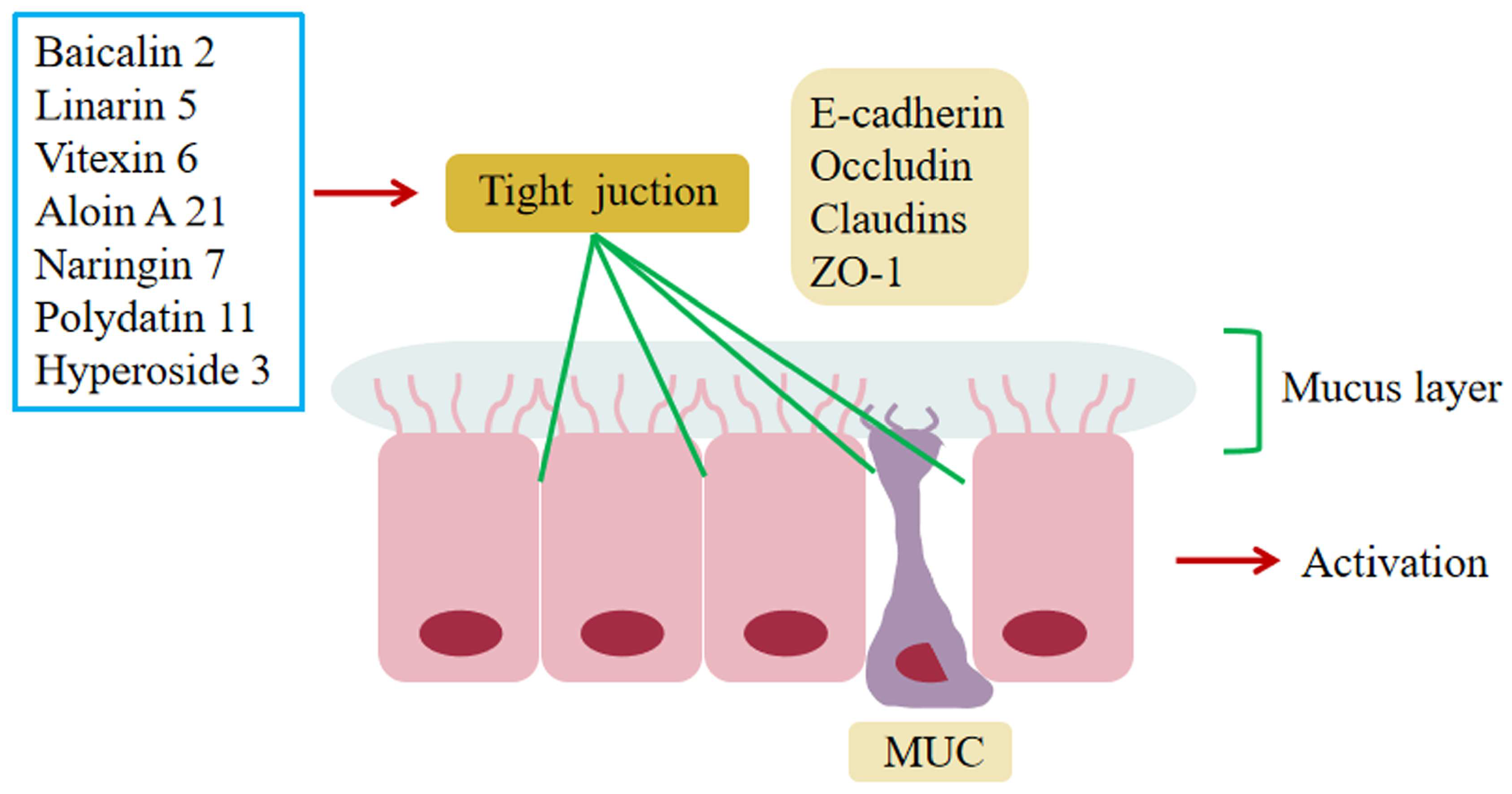 Molecules 28 05210 g004