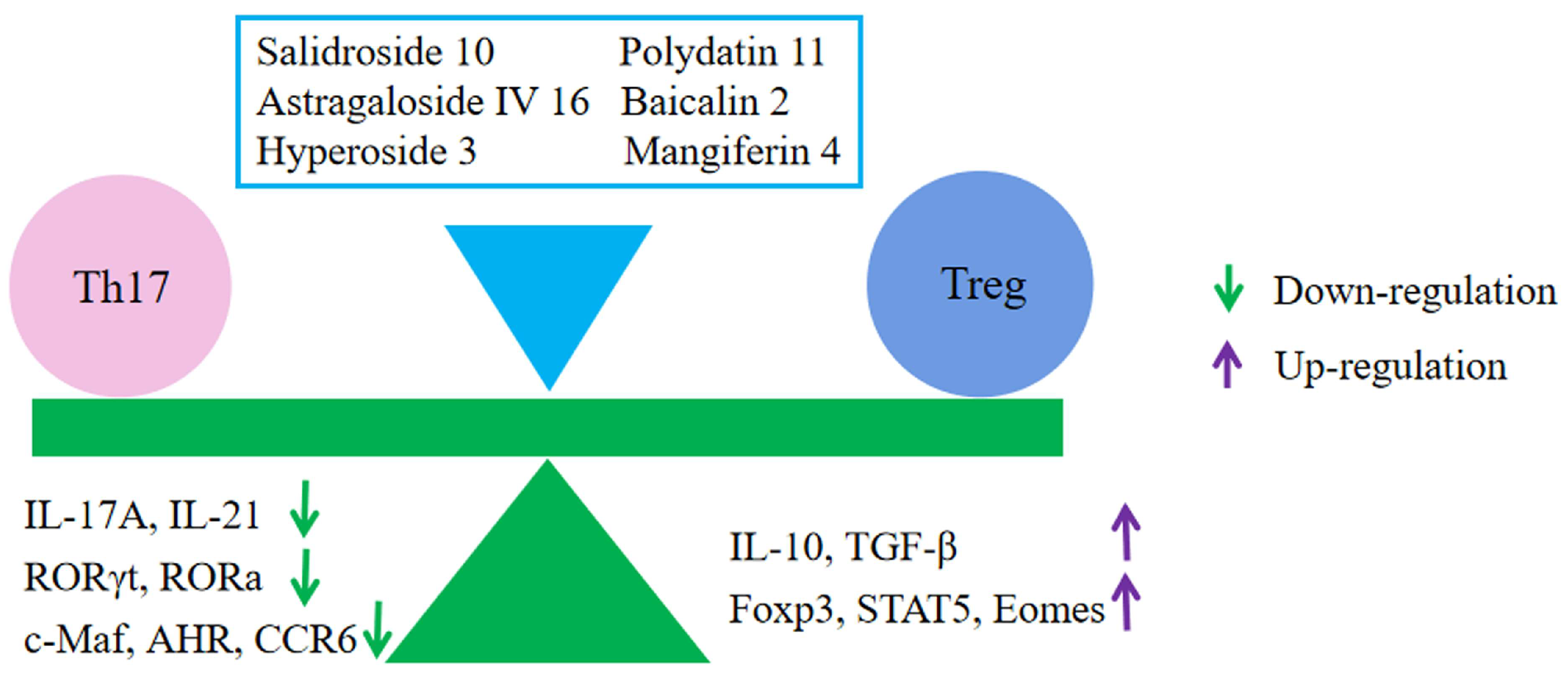 Molecules 28 05210 g005