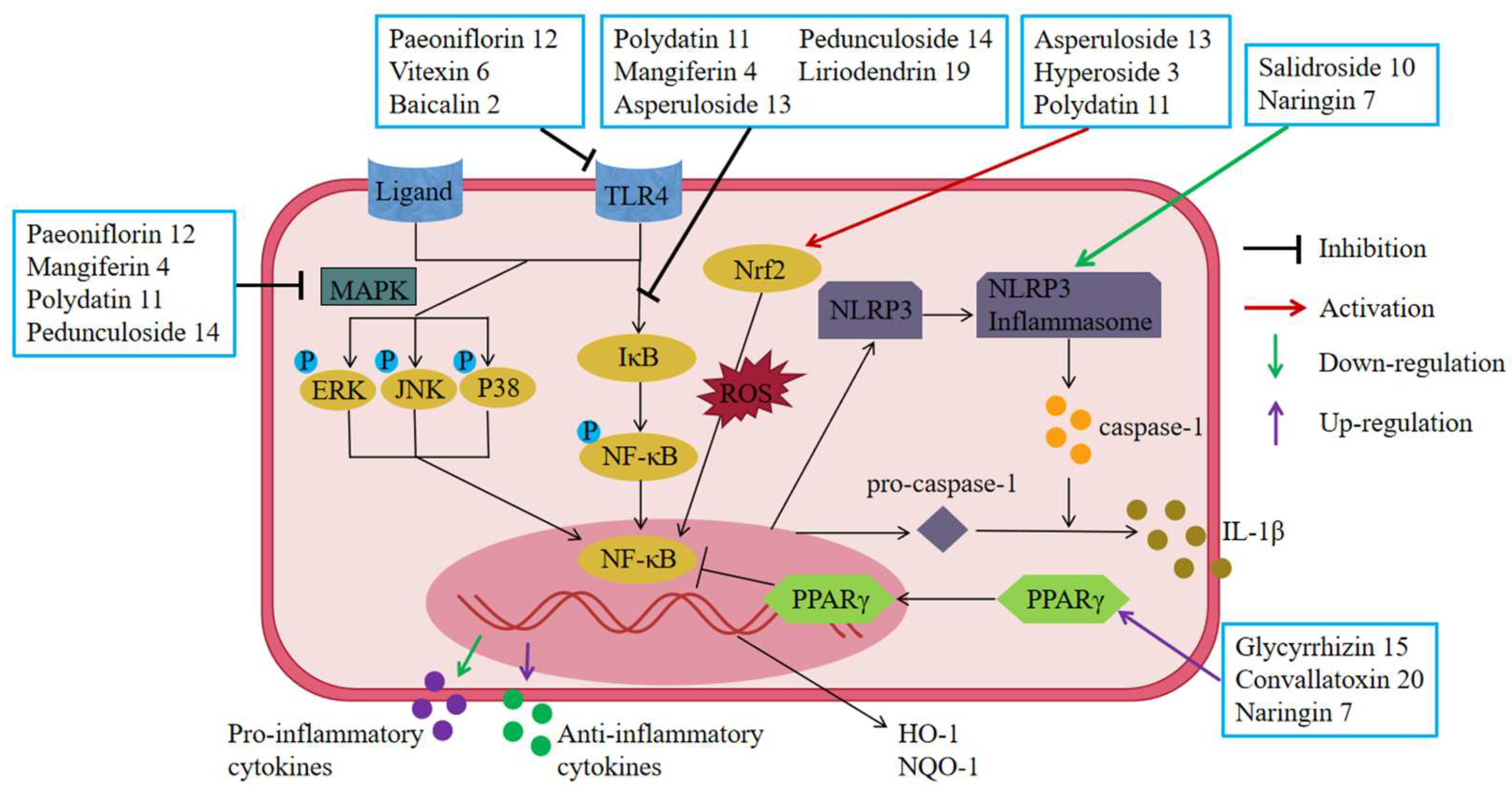 Molecules 28 05210 g006