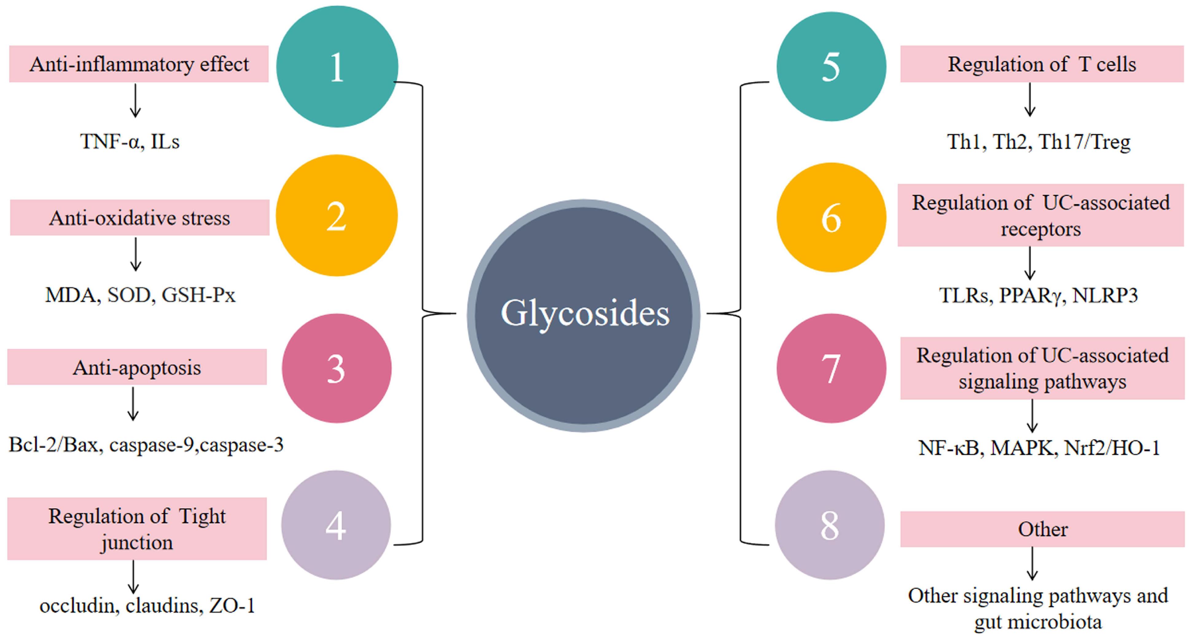 Molecules 28 05210 g007