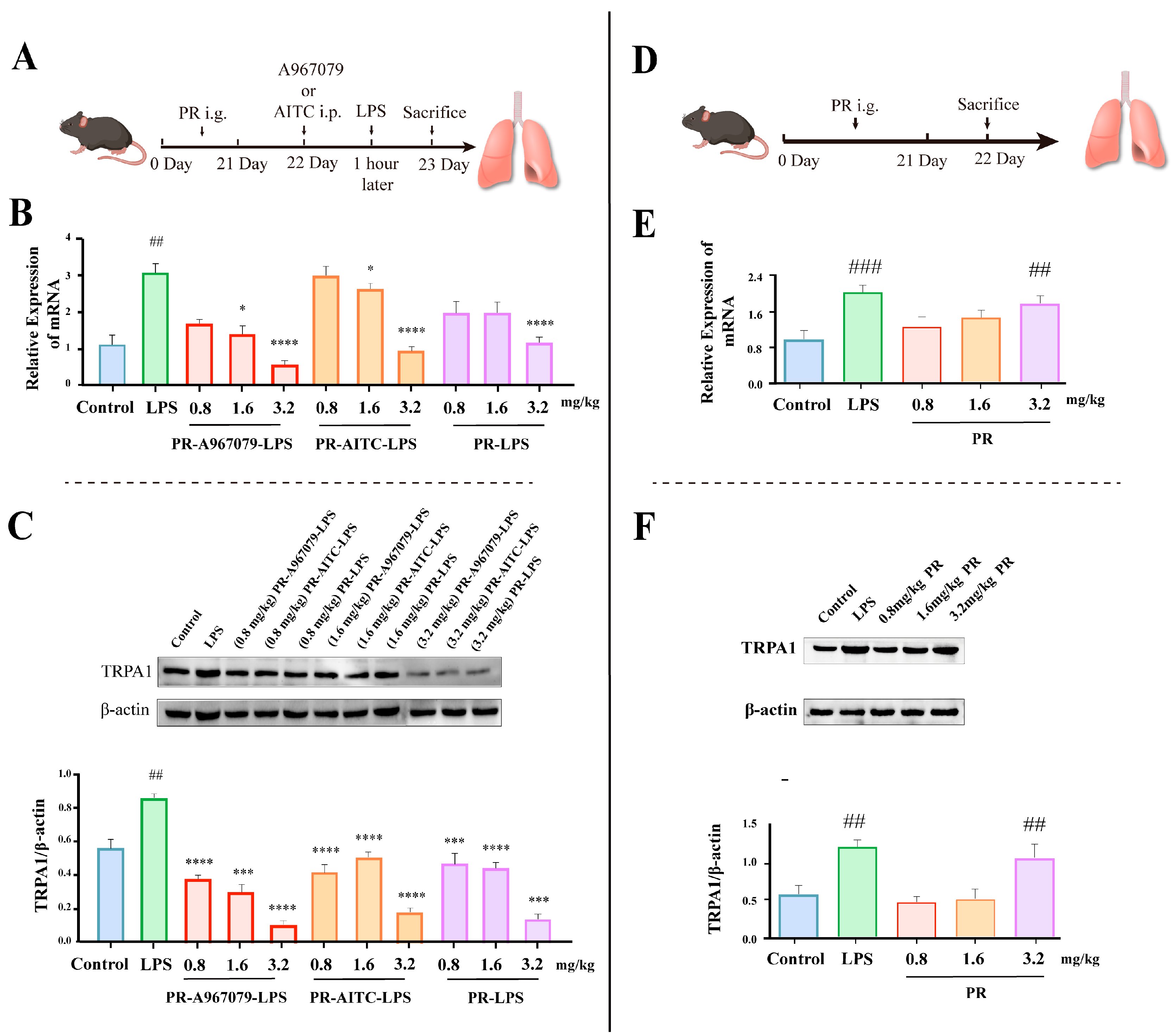 Molecules 28 05213 g002