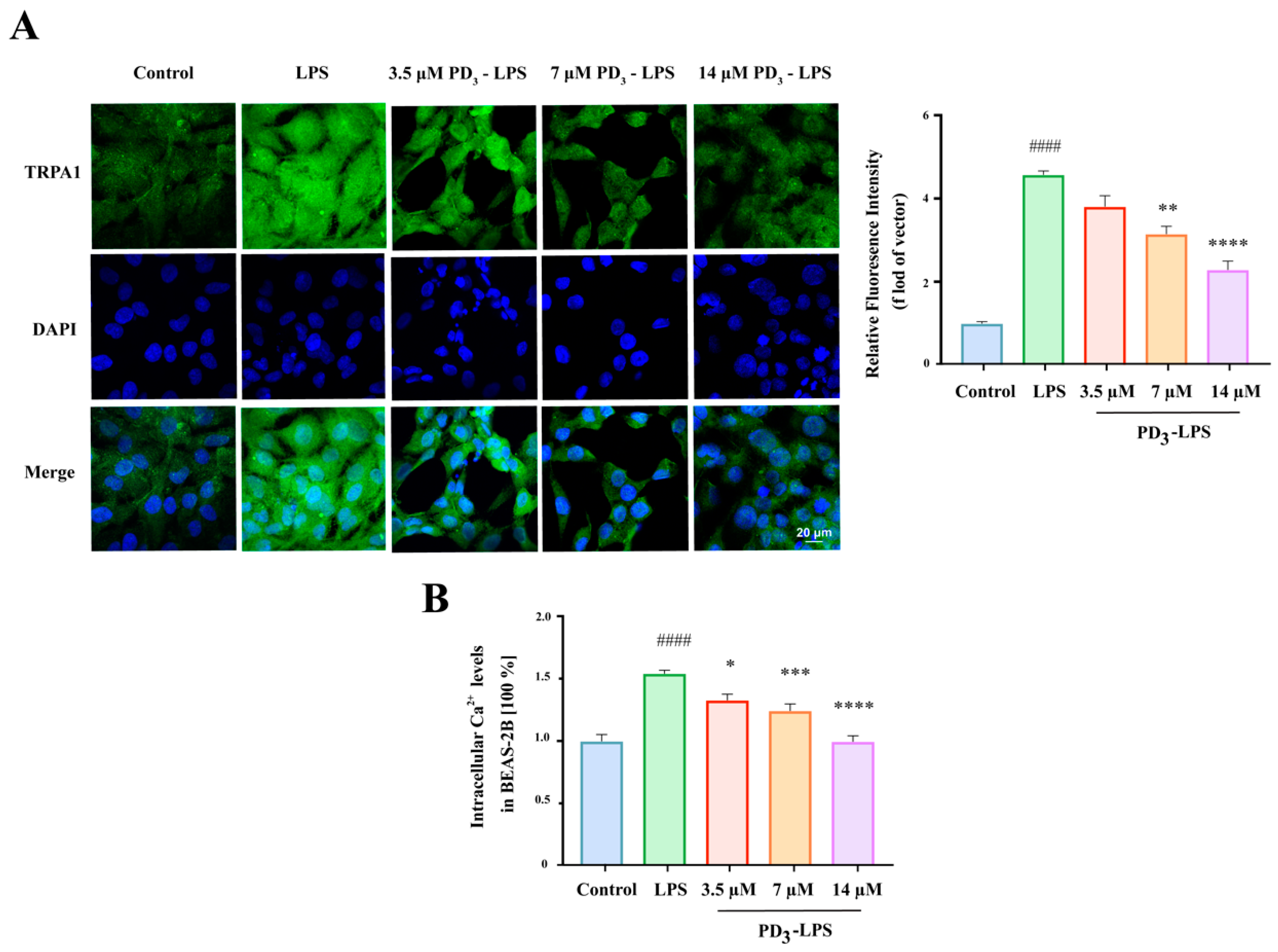 Molecules 28 05213 g005