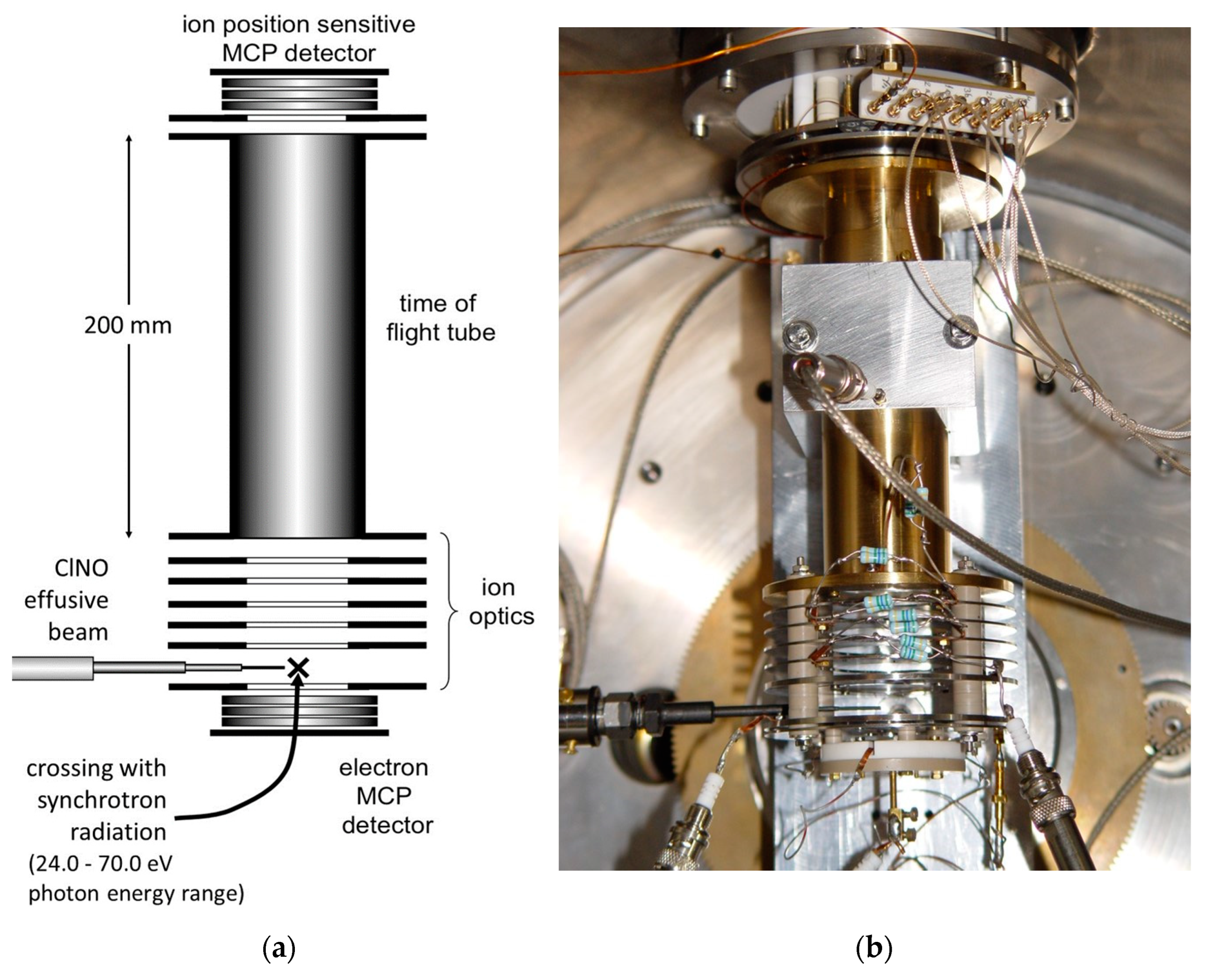 Molecules 28 05218 g003