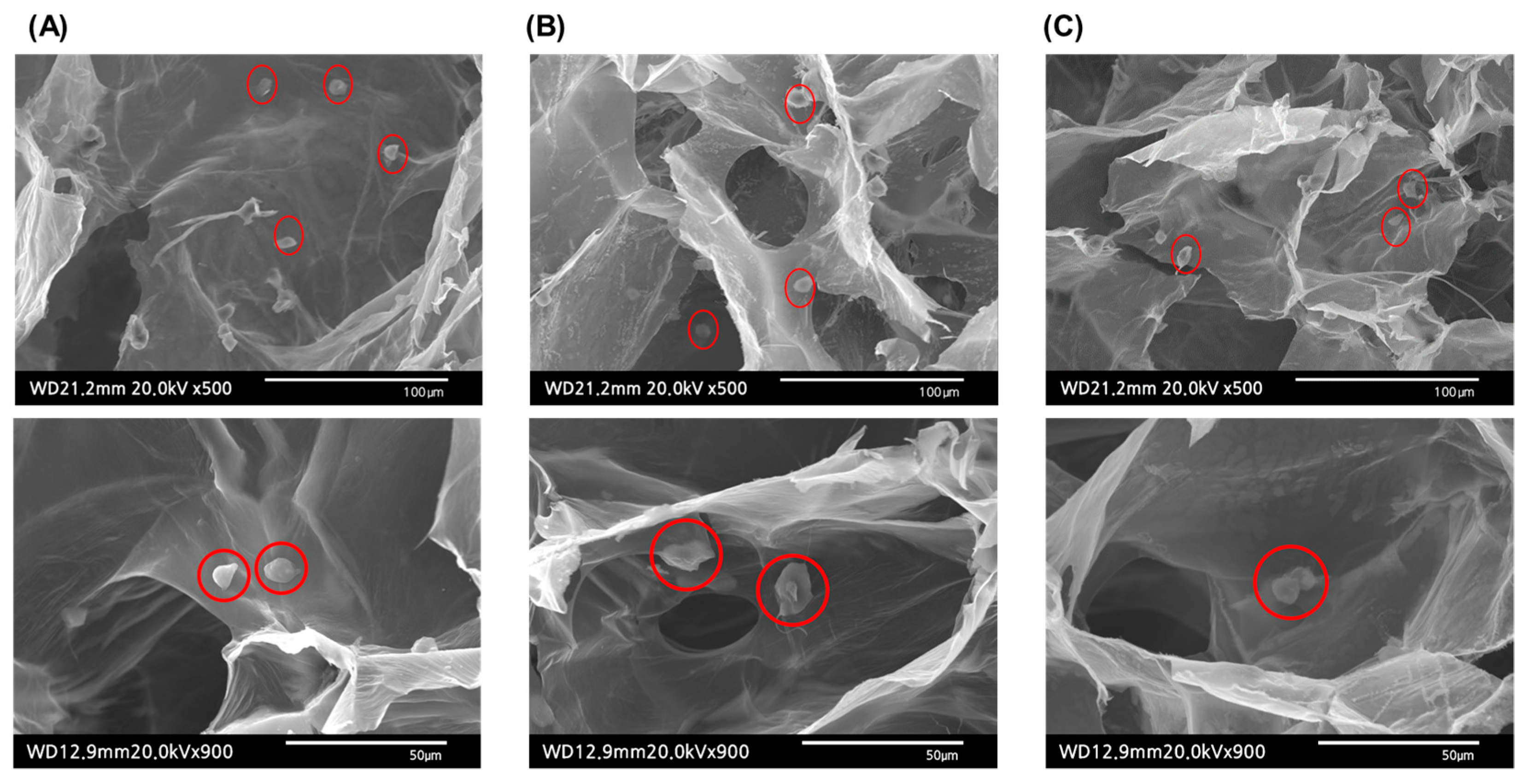 Molecules 28 05222 g006
