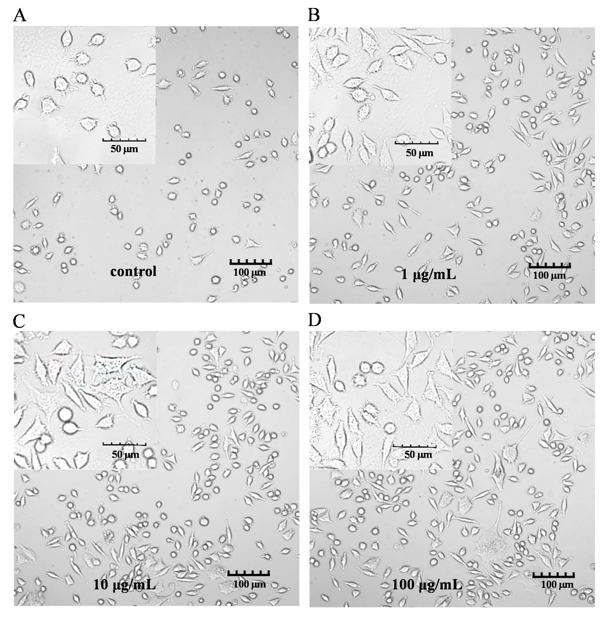 Molecules 28 05224 g002