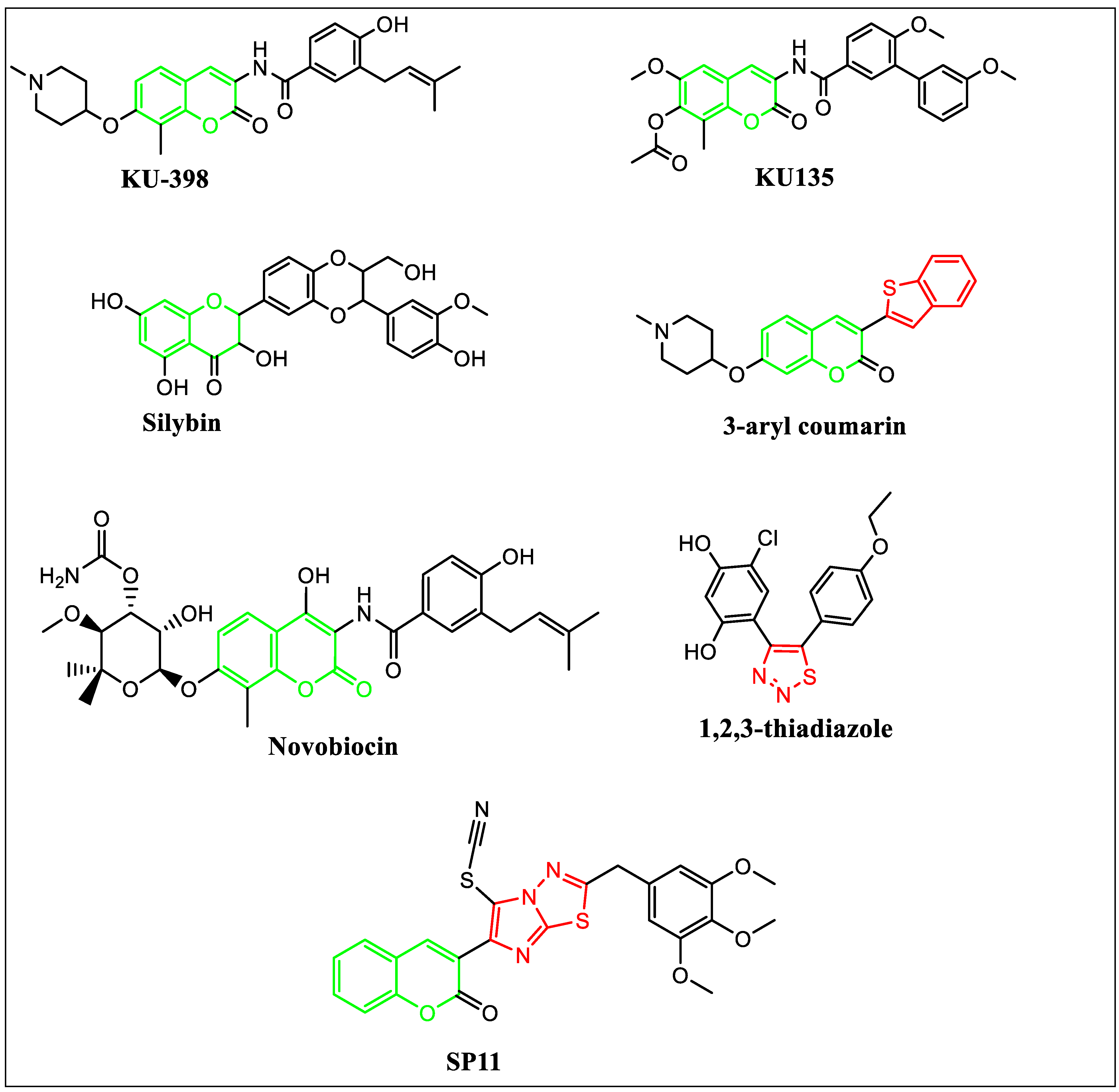 Molecules 28 05226 g001