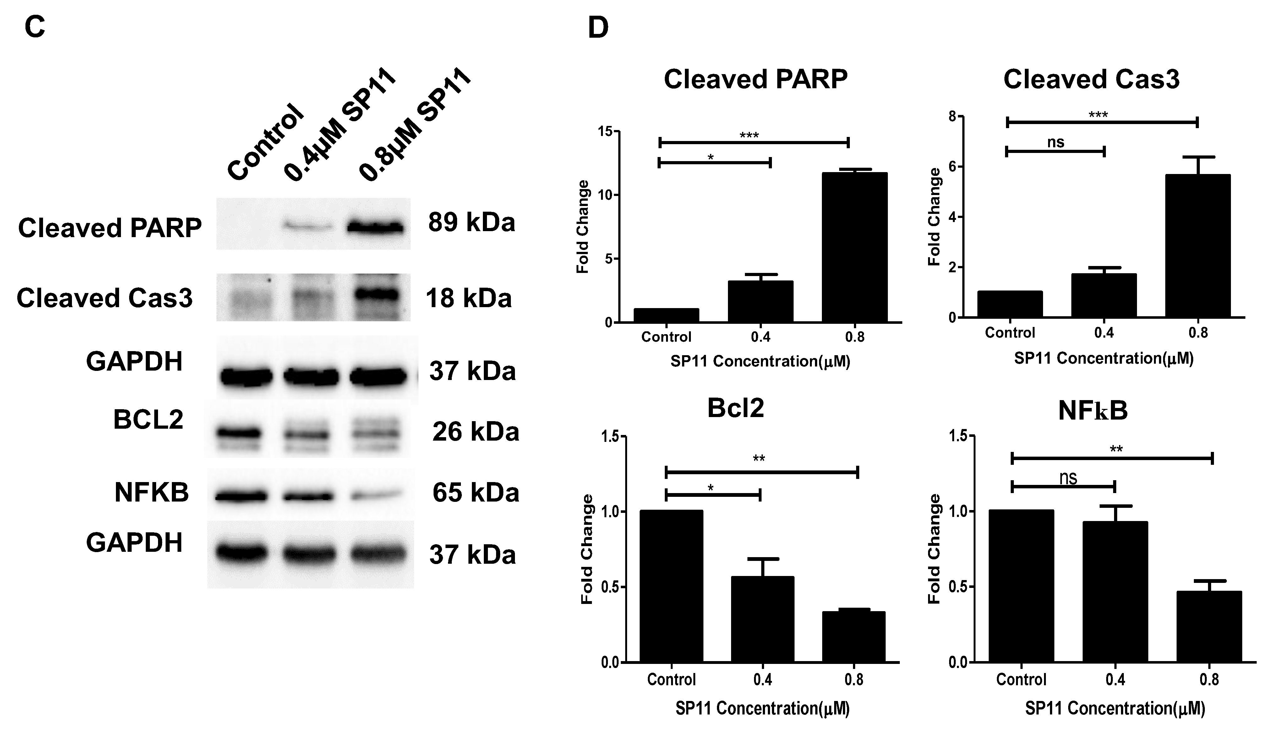 Molecules 28 05226 g004b
