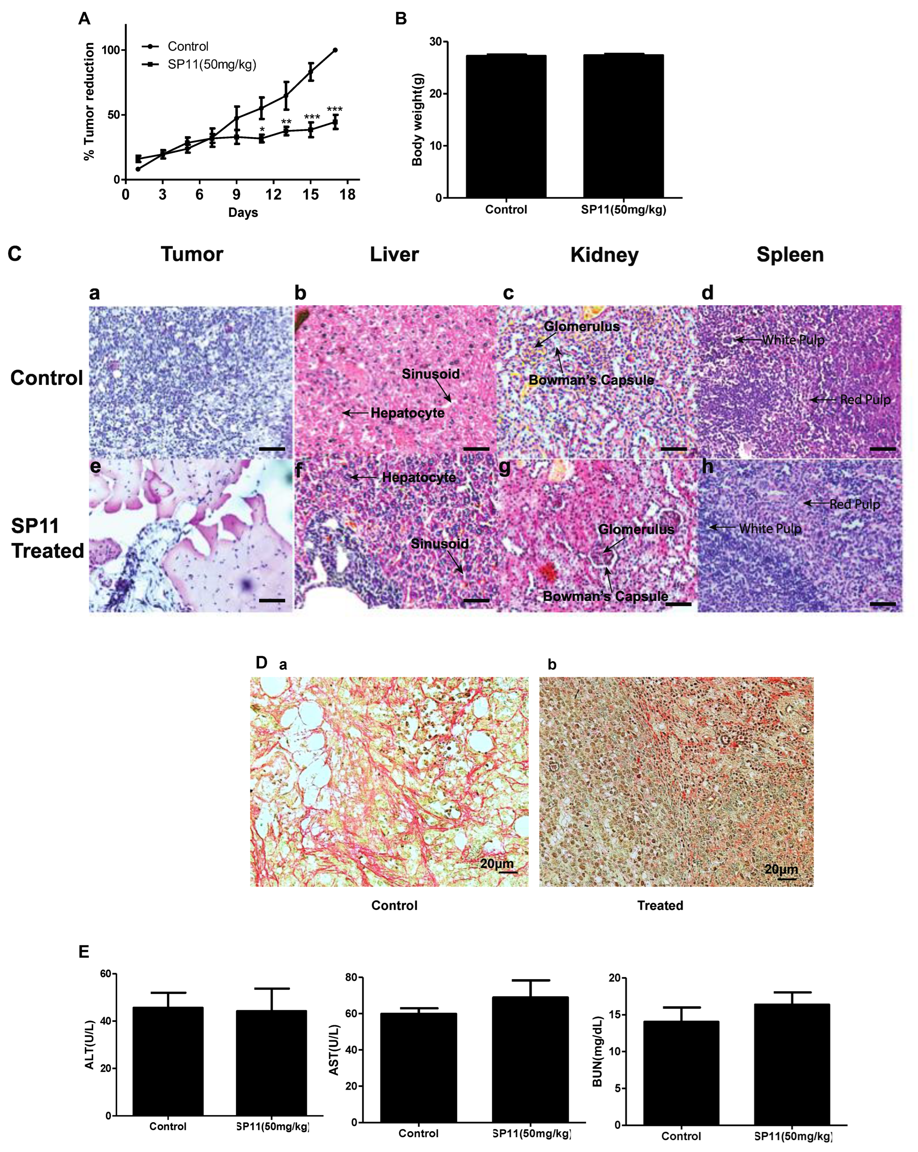 Molecules 28 05226 g005a